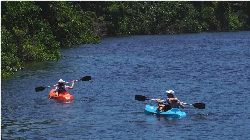 Canoeing in Hotel do Bosque ECO Resort