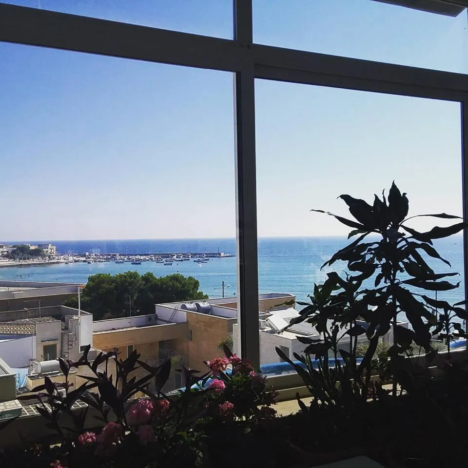 Day in Eden Beach Club