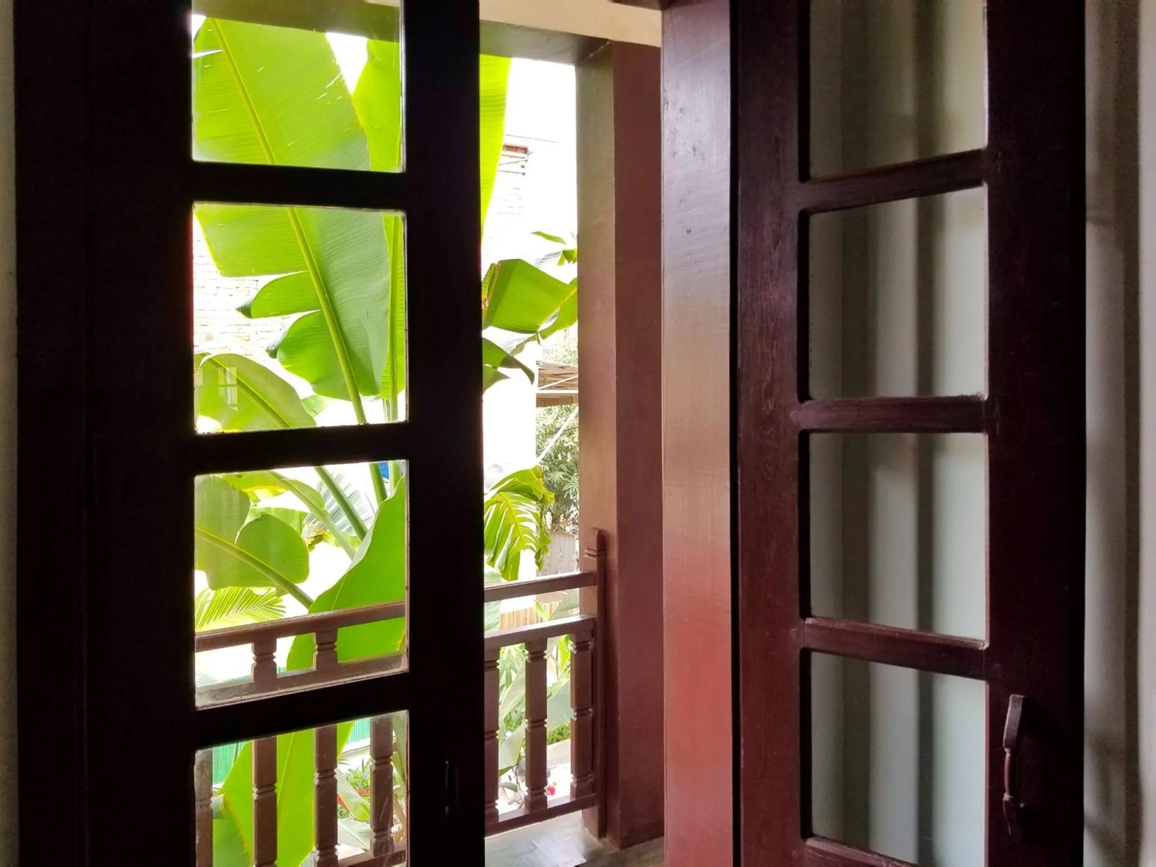 Garden view in Uncle Sam Villa