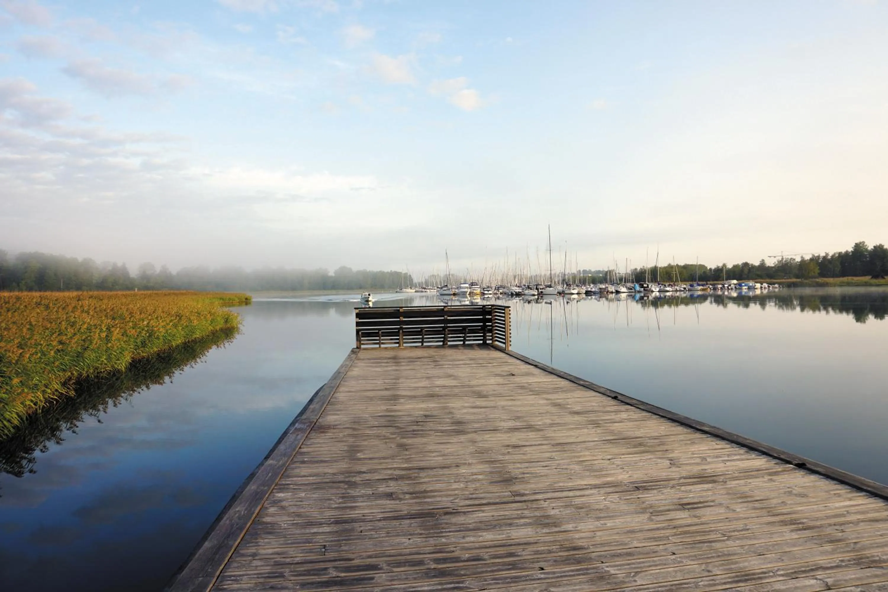 Natural landscape in Runö Möten & Events
