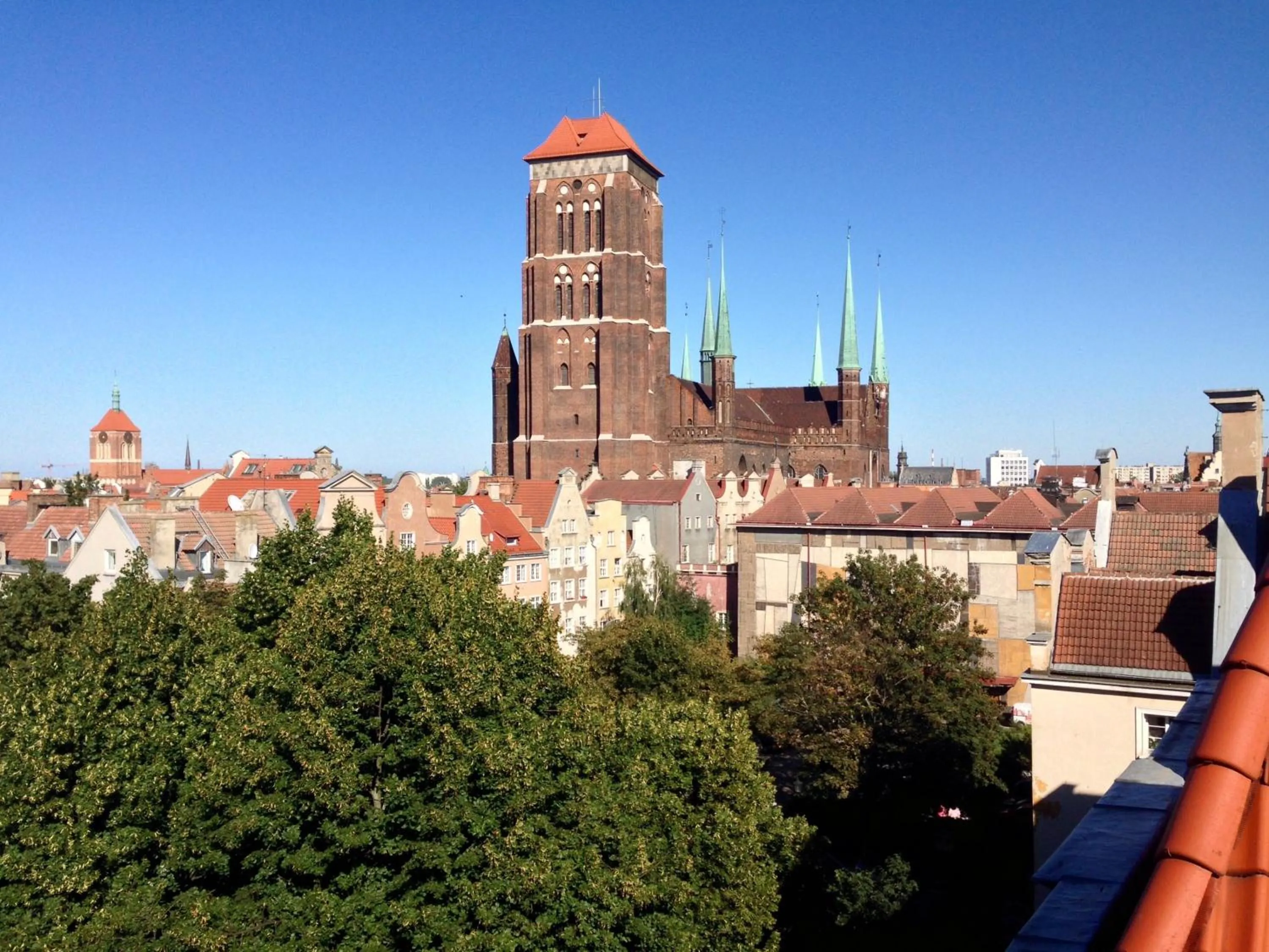 Neighbourhood in Black Swan House, Old Town
