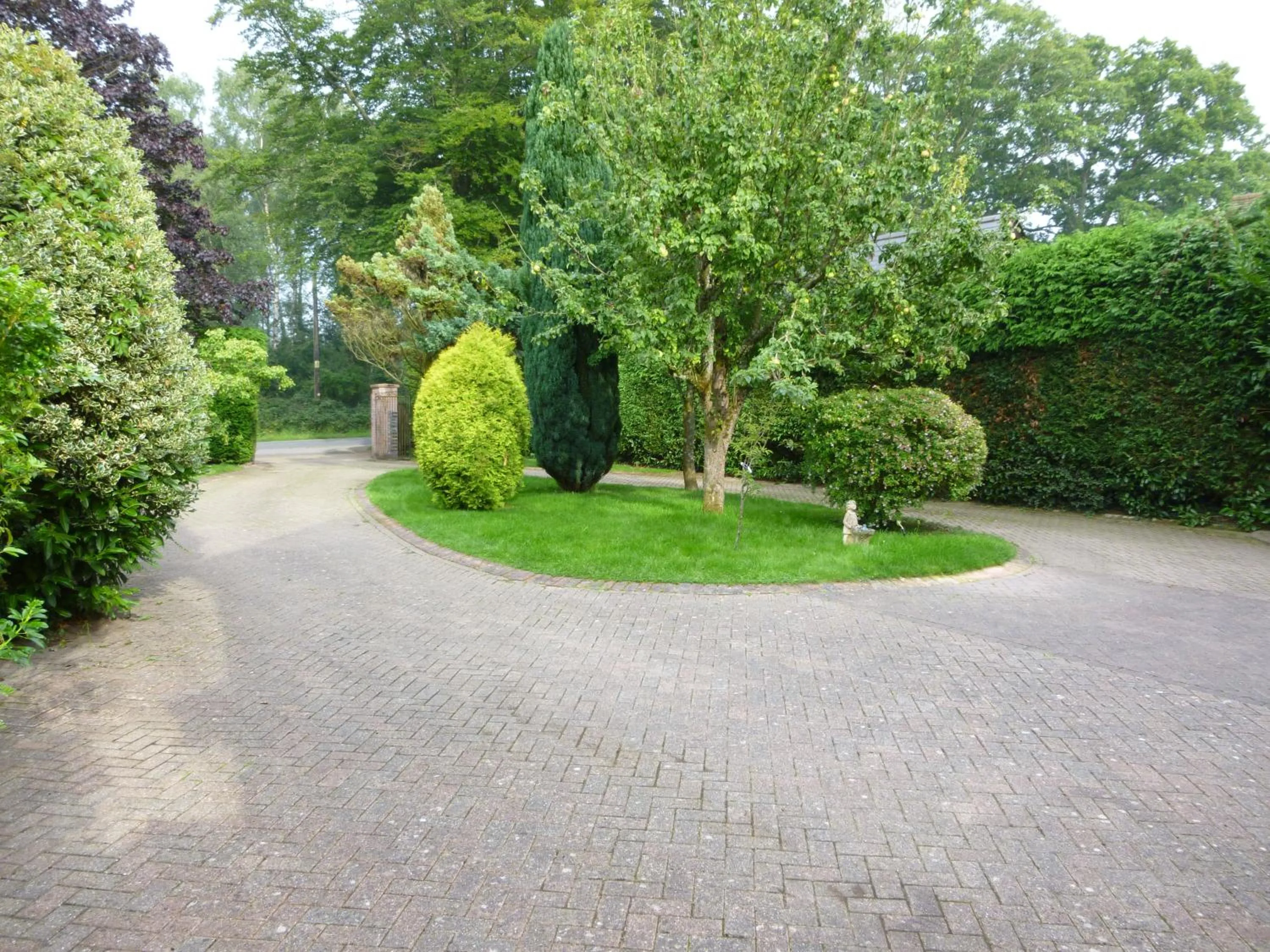 Garden view in Cameron House