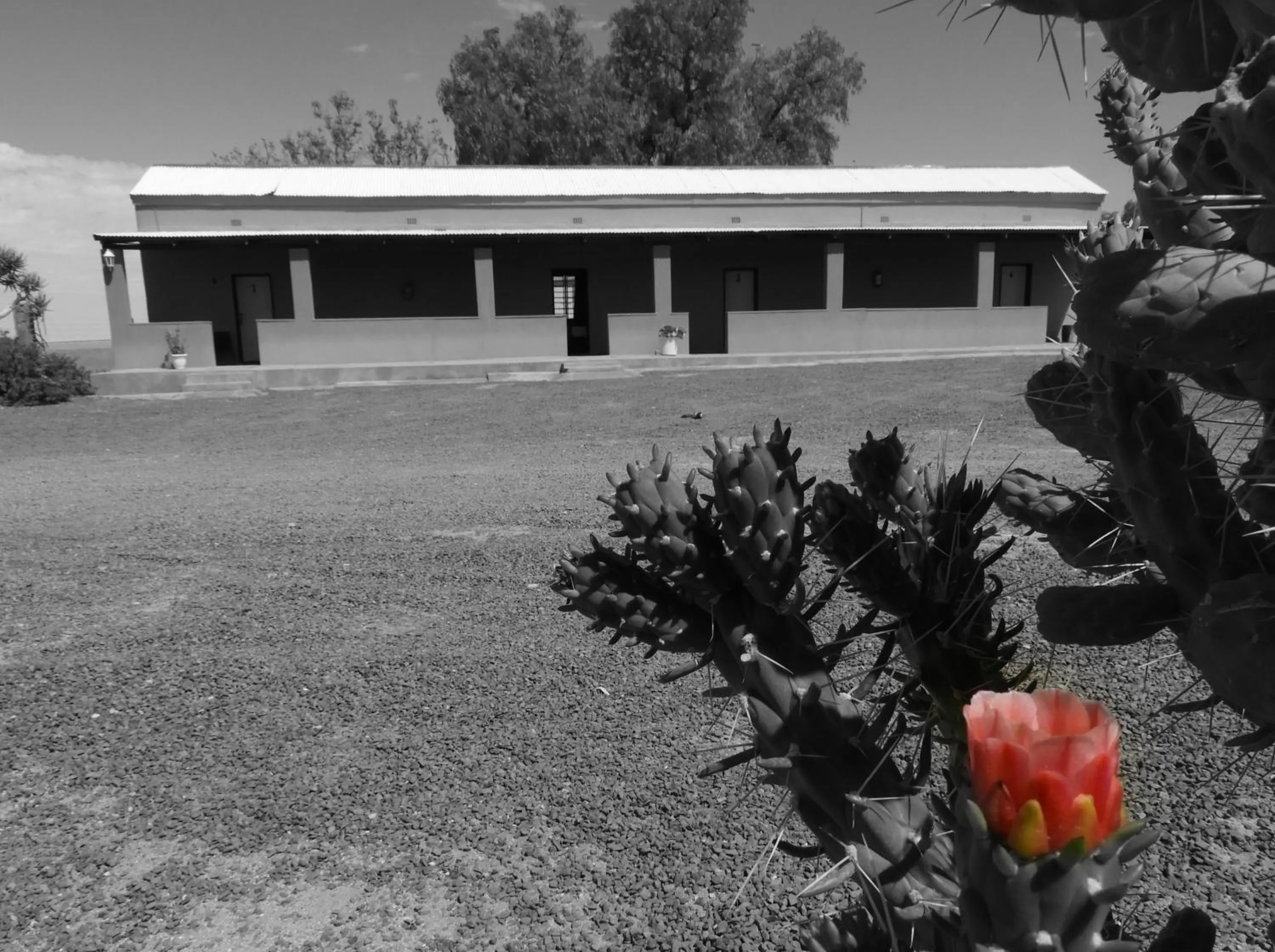 Grunau Country Hotel