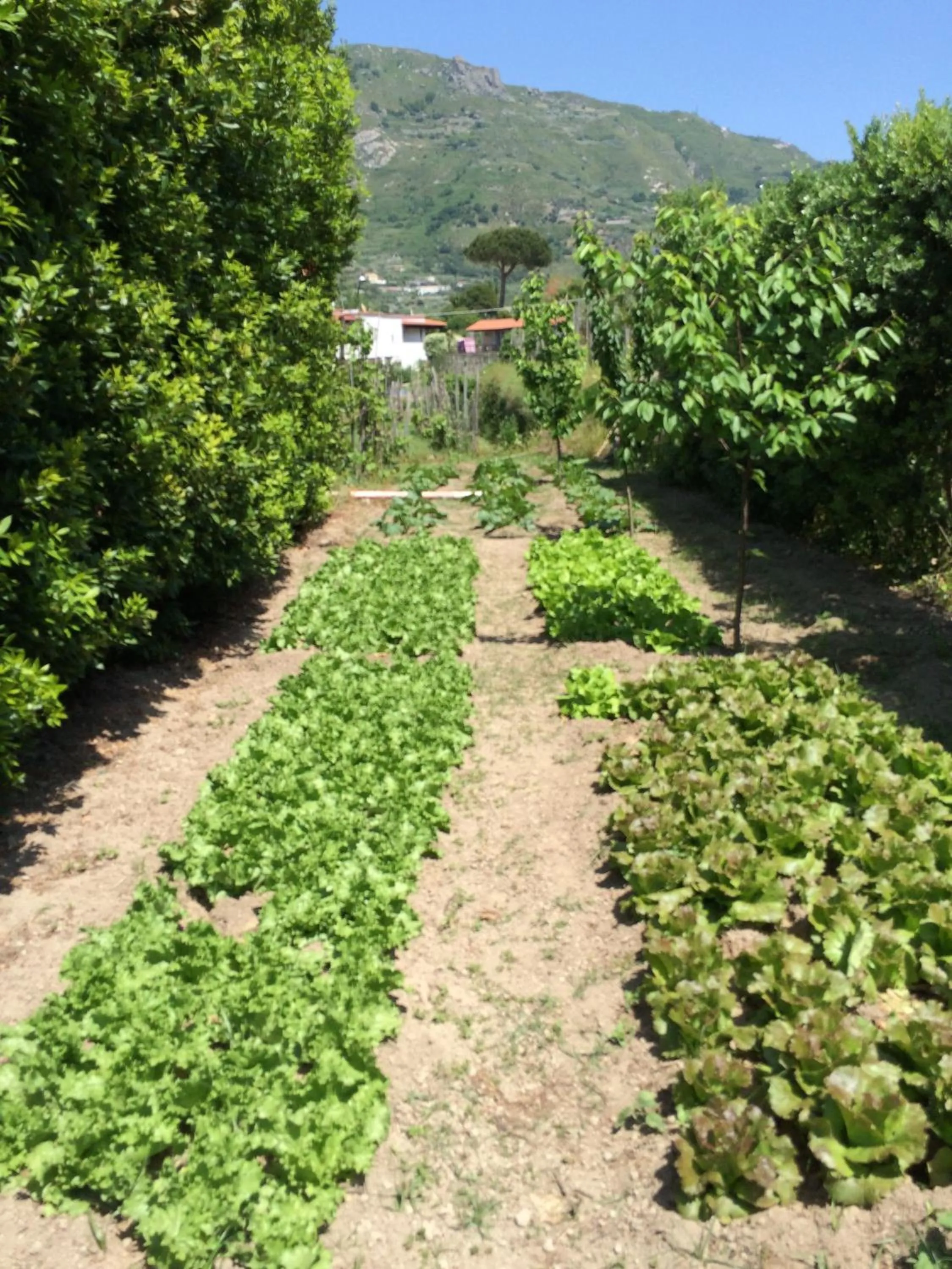 Other in Hotel San Francesco