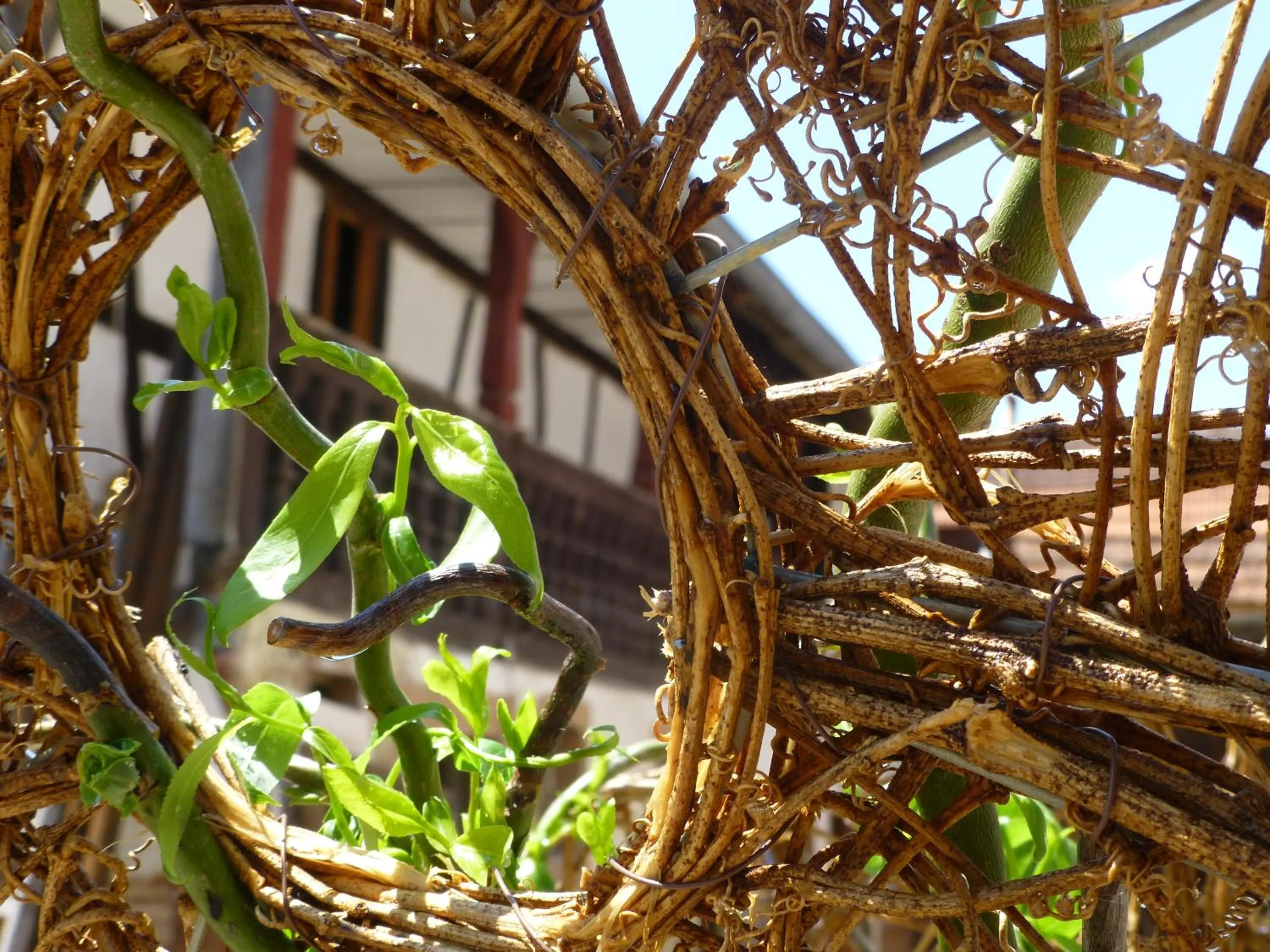 On site in L’Été en Novembre