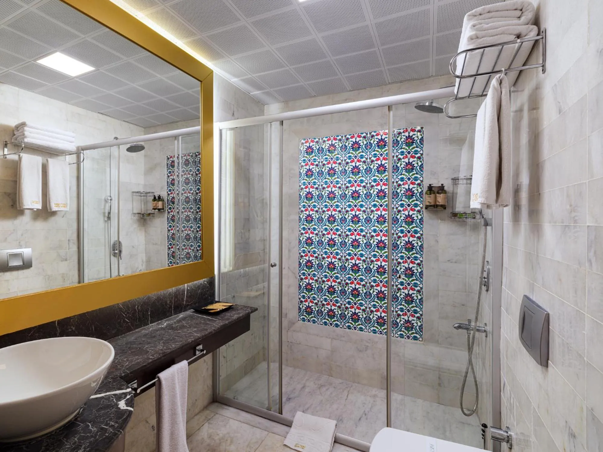 Shower in Hotel 1207 Special Class