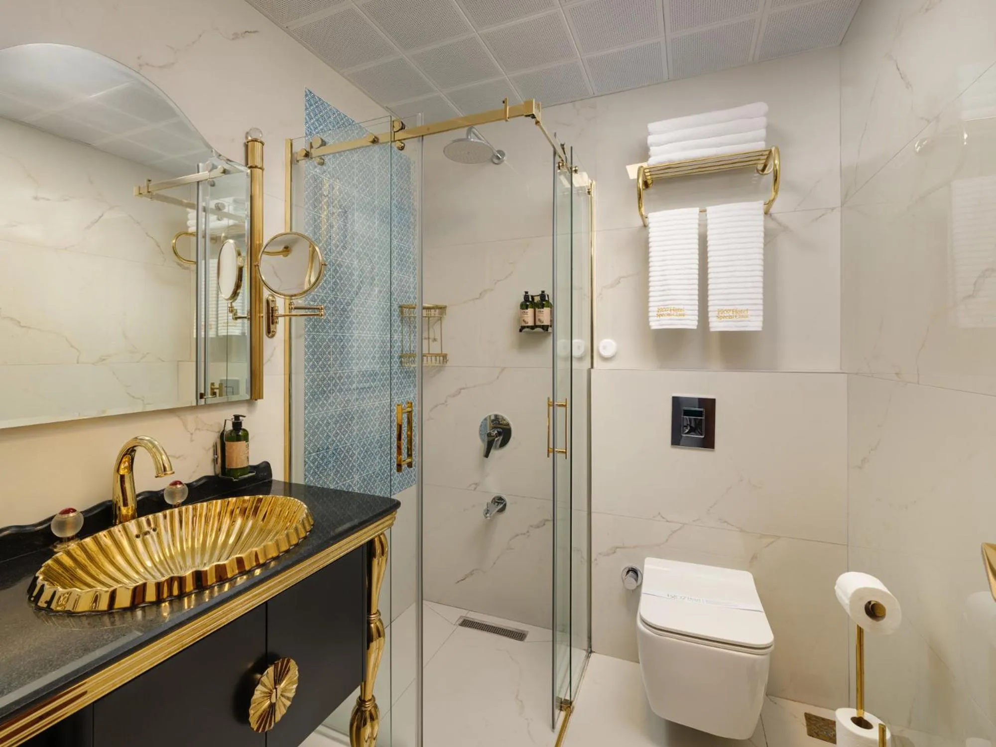 Shower in Hotel 1207 Special Class