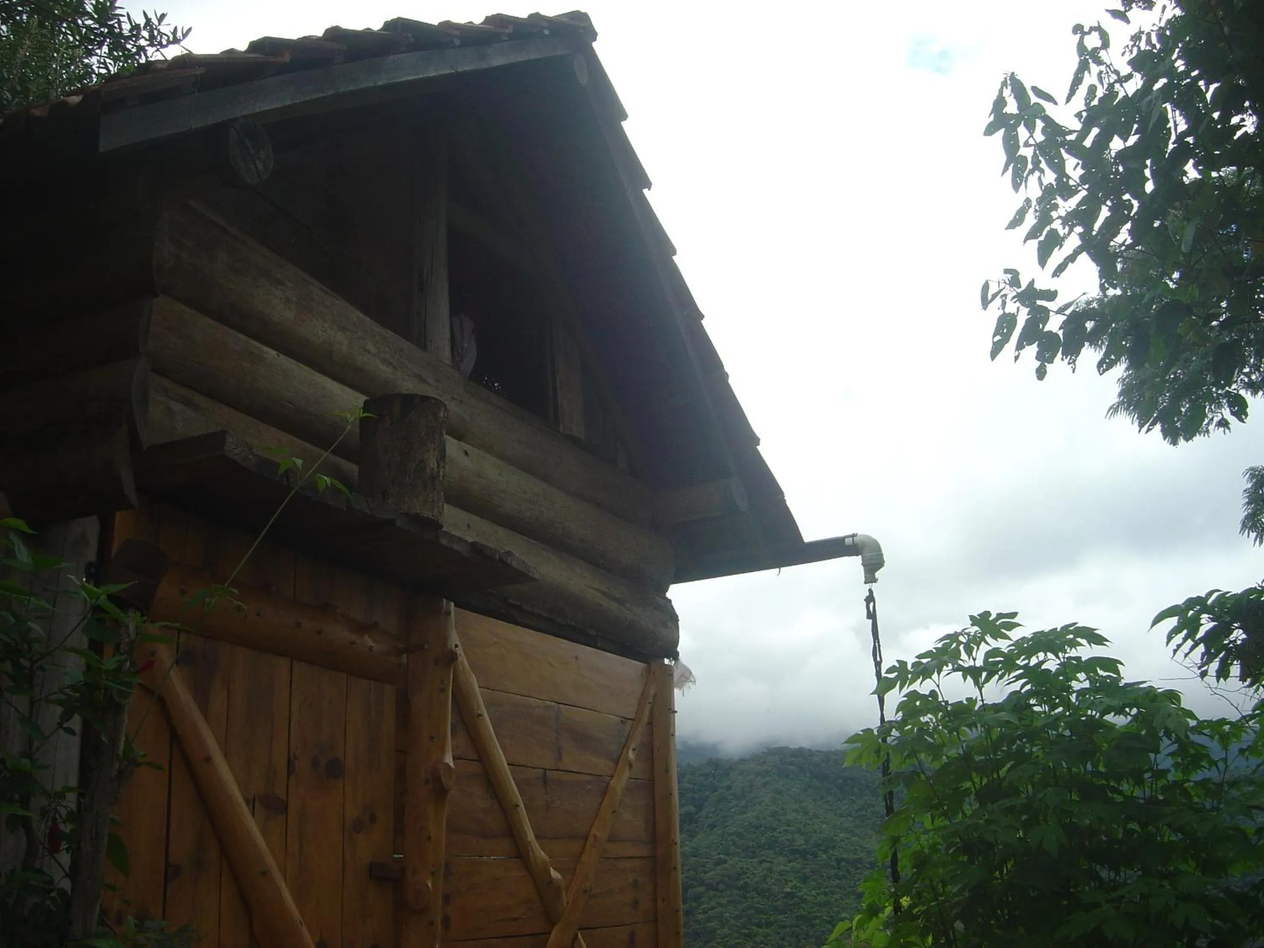 View (from property/room) in Orgânica-Mente B&B