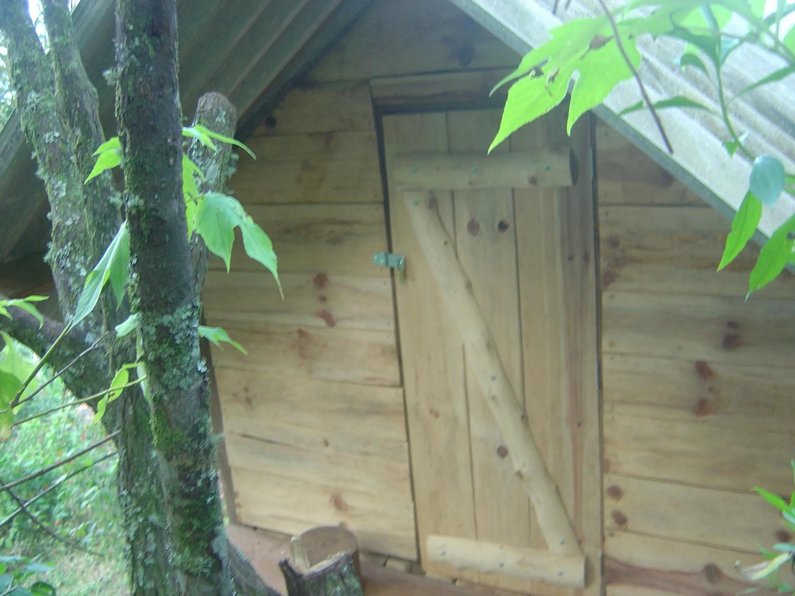 Balcony/Terrace in Orgânica-Mente B&B