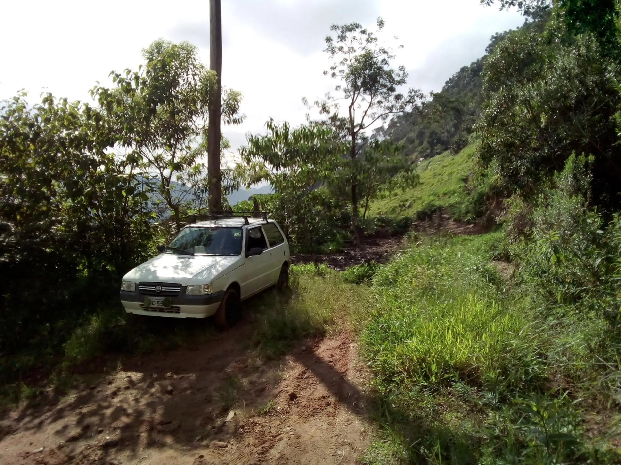 Street view in Orgânica-Mente B&B