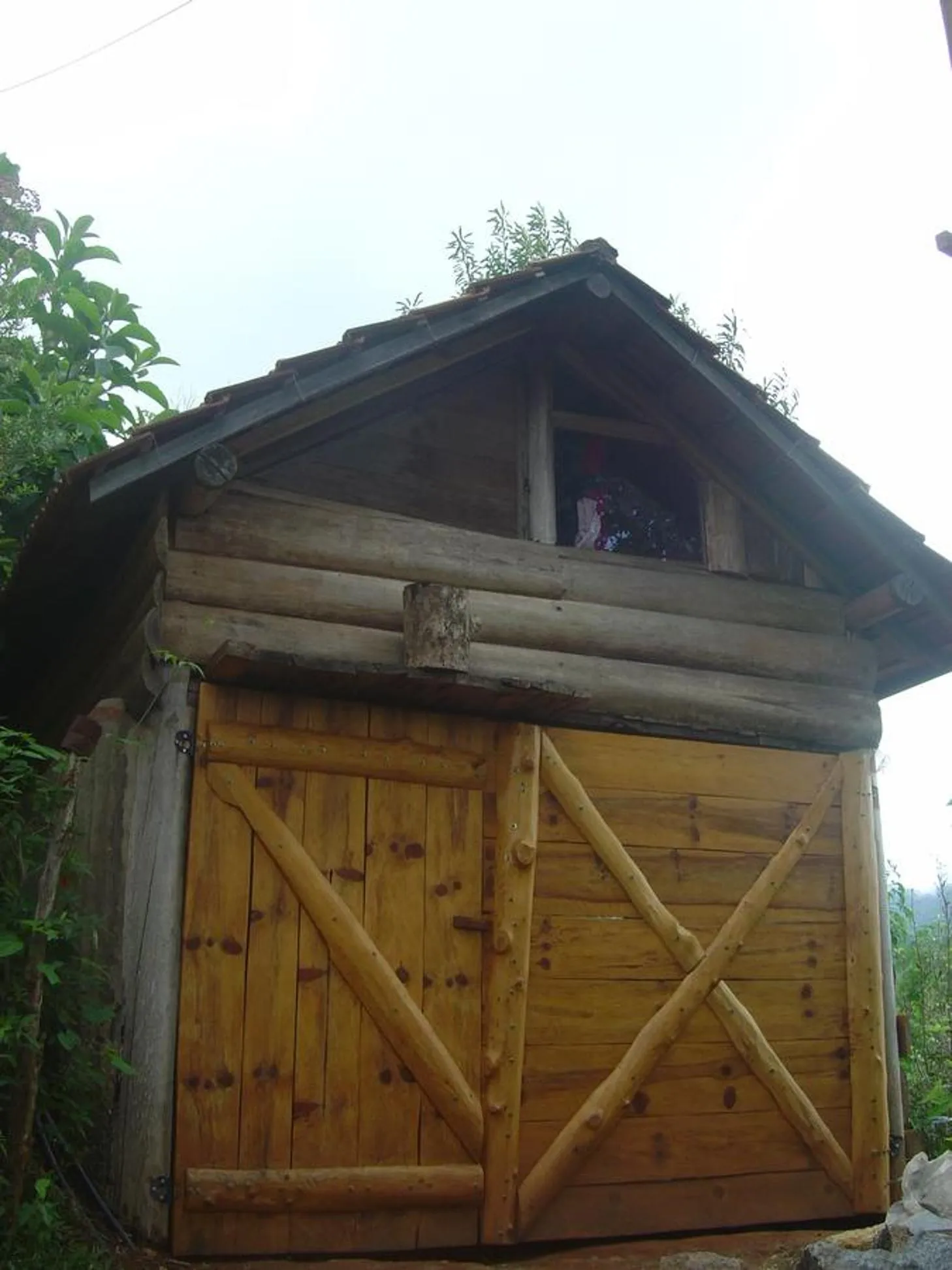 View (from property/room) in Orgânica-Mente B&B