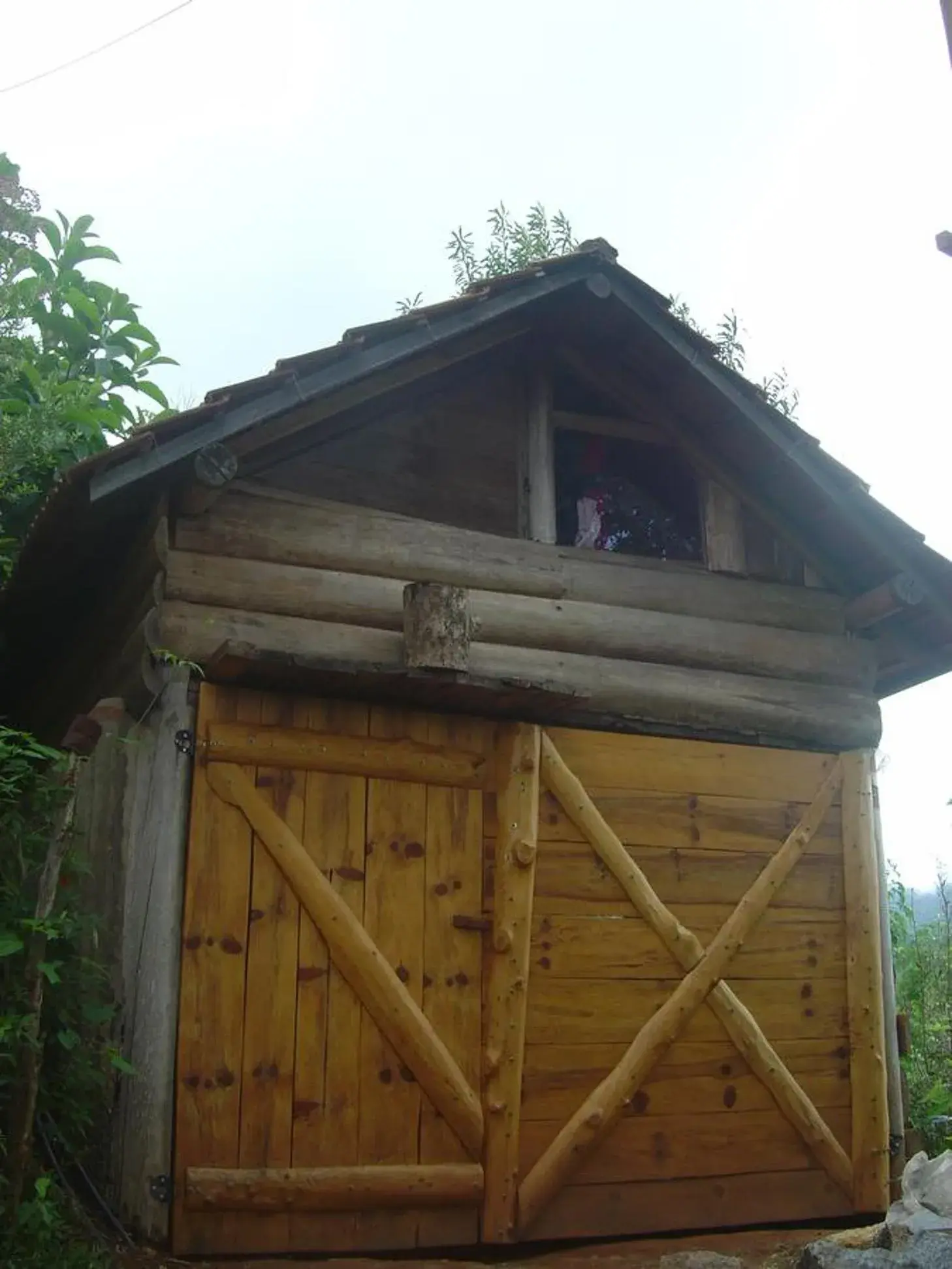Family Room with Shared Bathroom - single occupancy in Orgânica-Mente B&B Family Room with Shared Bathroom - single occupancy in Orgânica-Mente B&B