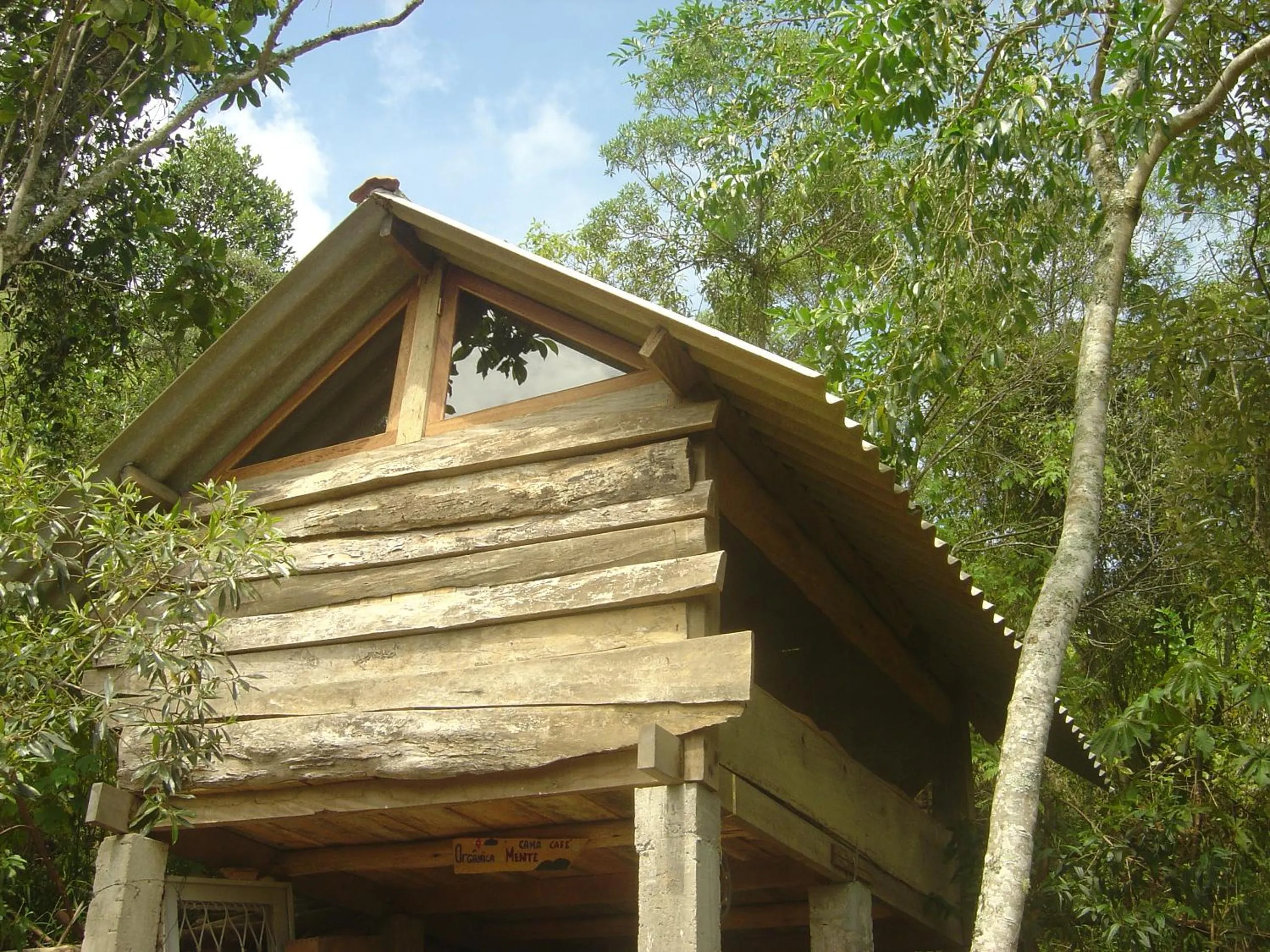 Garden view in Orgânica-Mente B&B