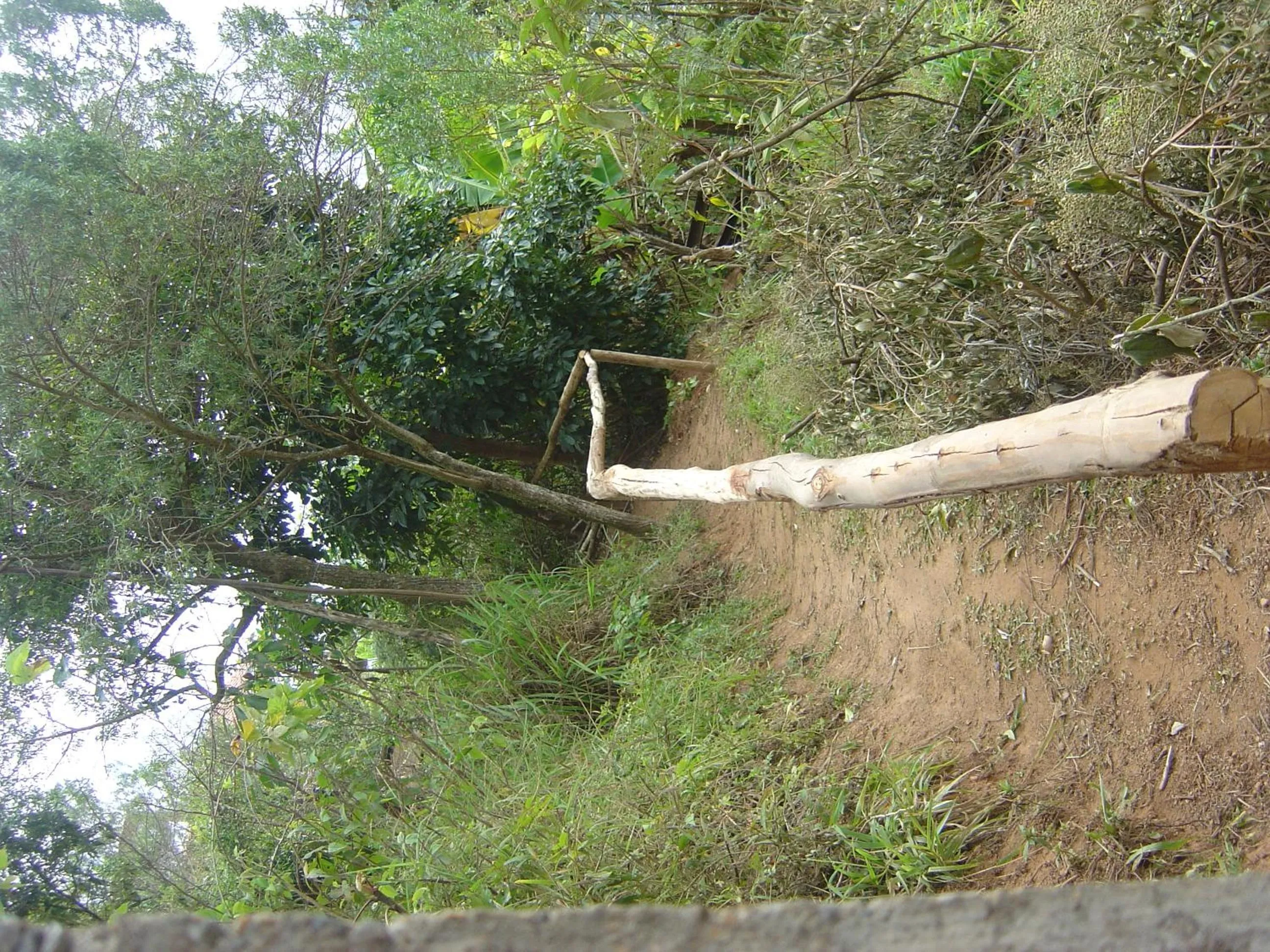 Property building in Orgânica-Mente B&B