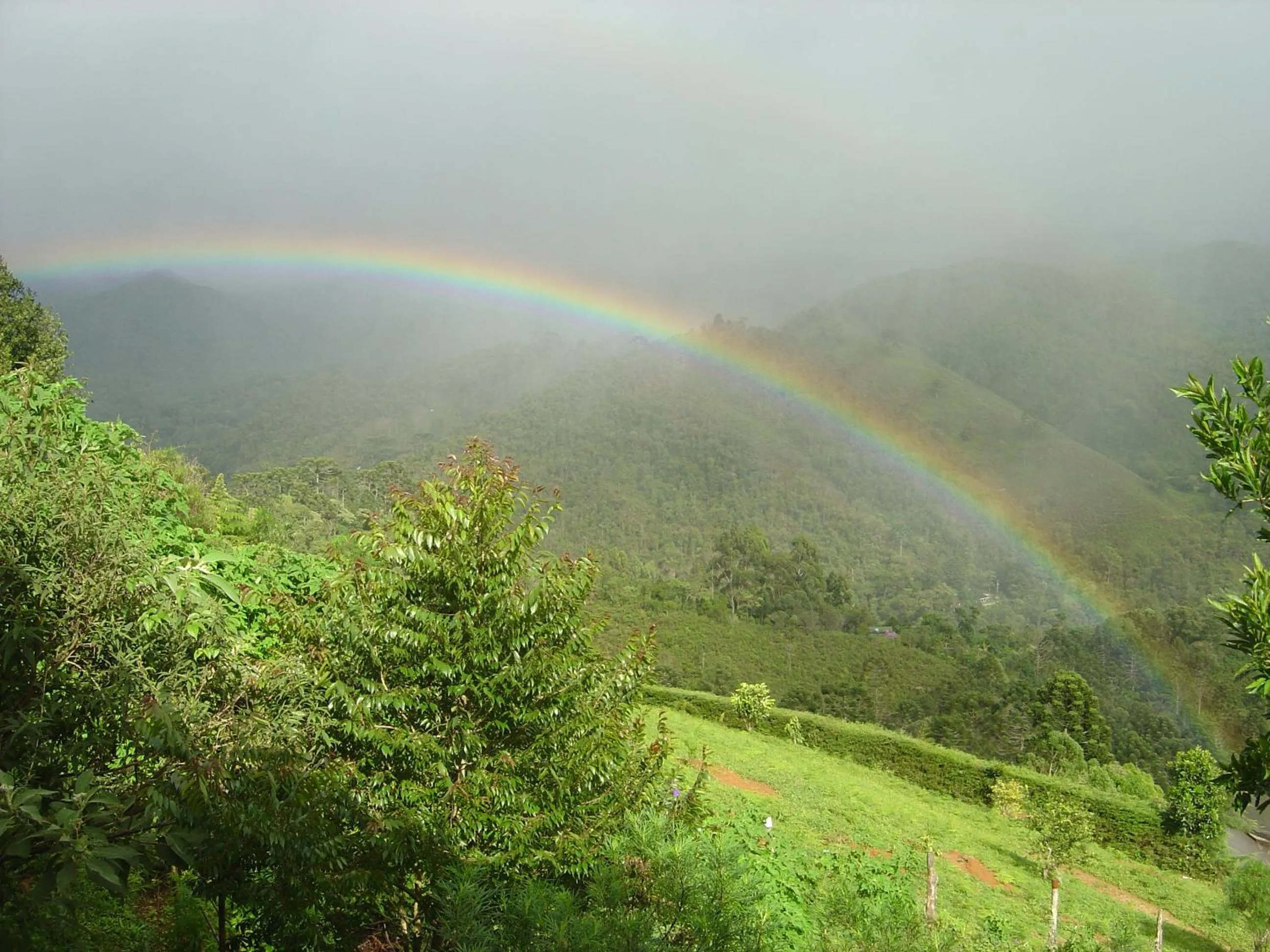 Mountain view in Orgânica-Mente B&B