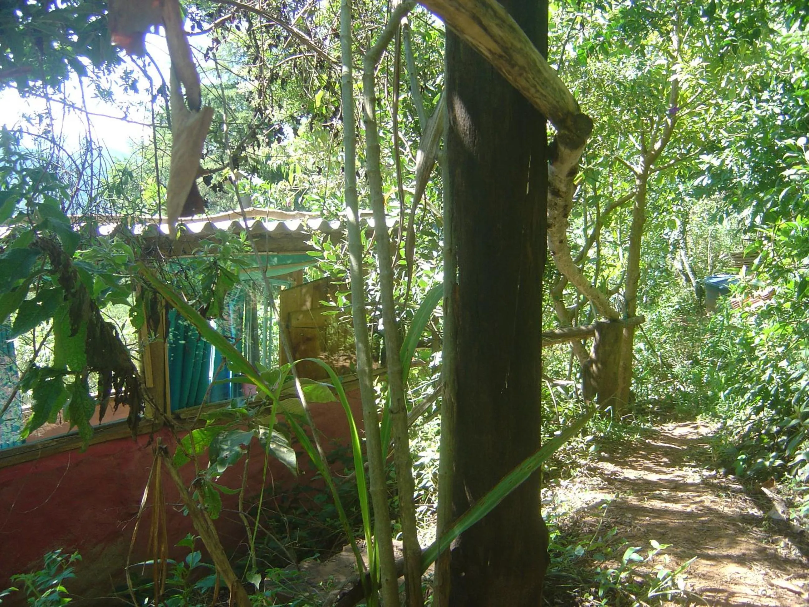 Garden in Orgânica-Mente B&B