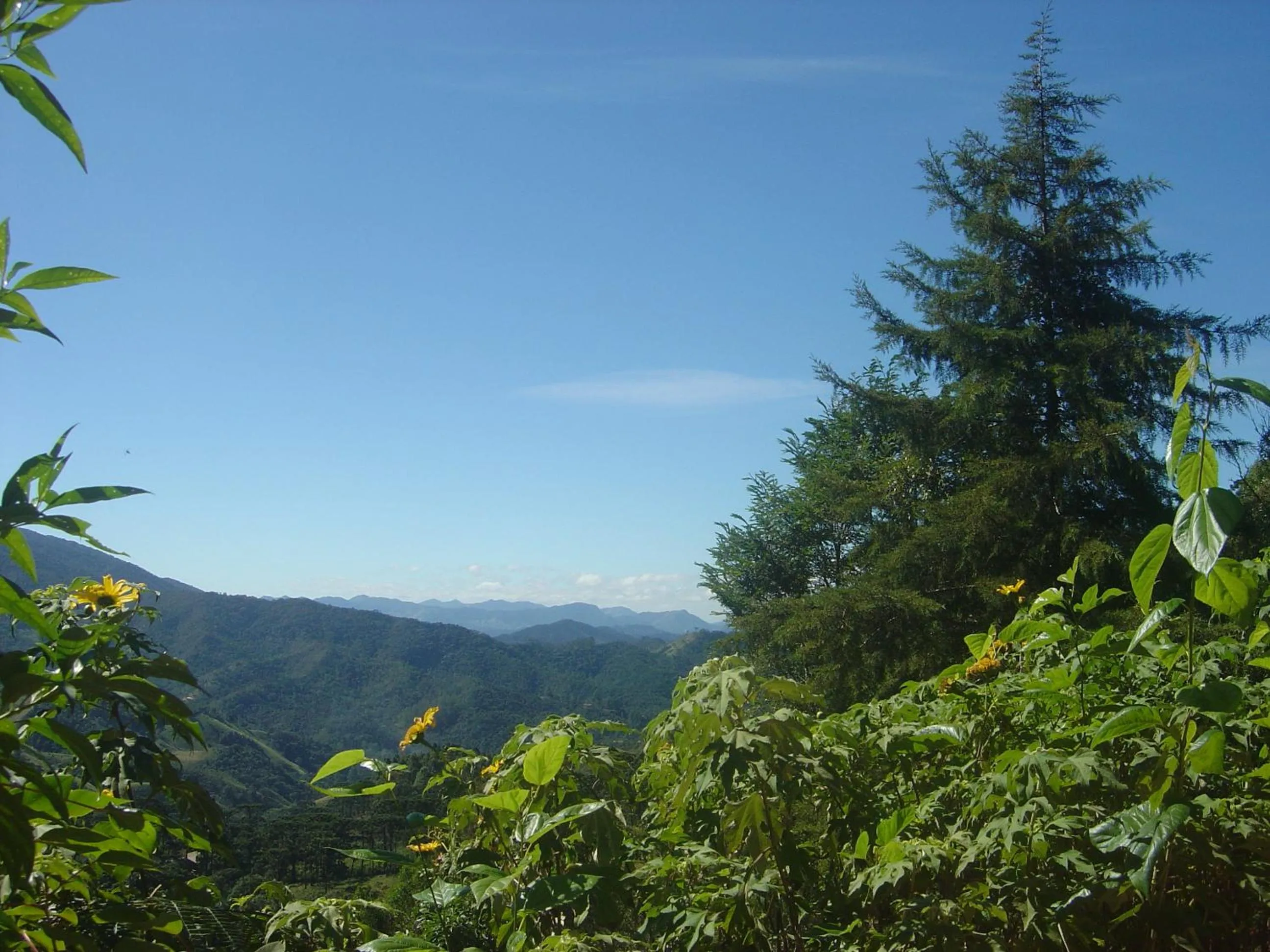 Garden in Orgânica-Mente B&B