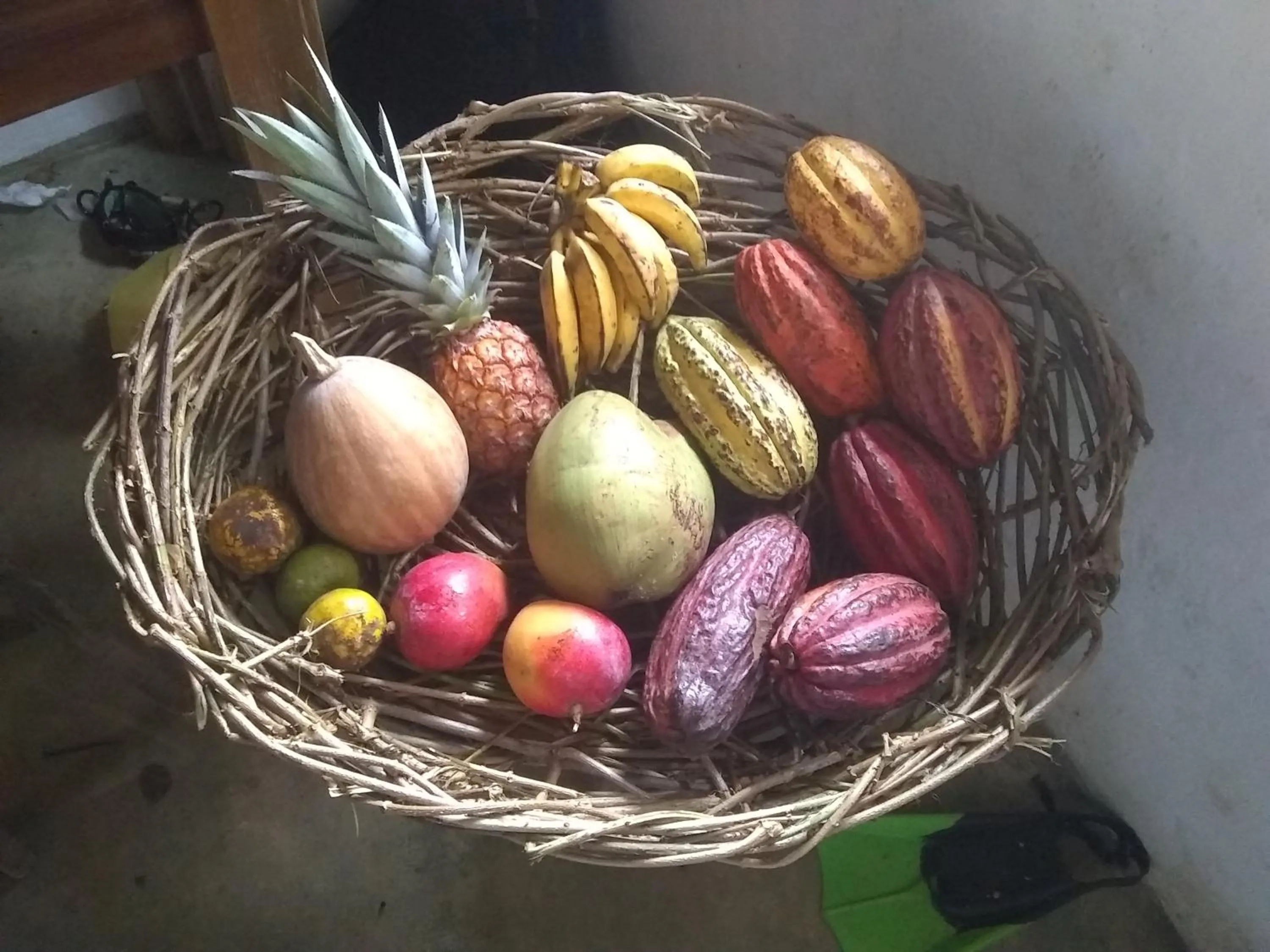 Breakfast in Orgânica-Mente B&B