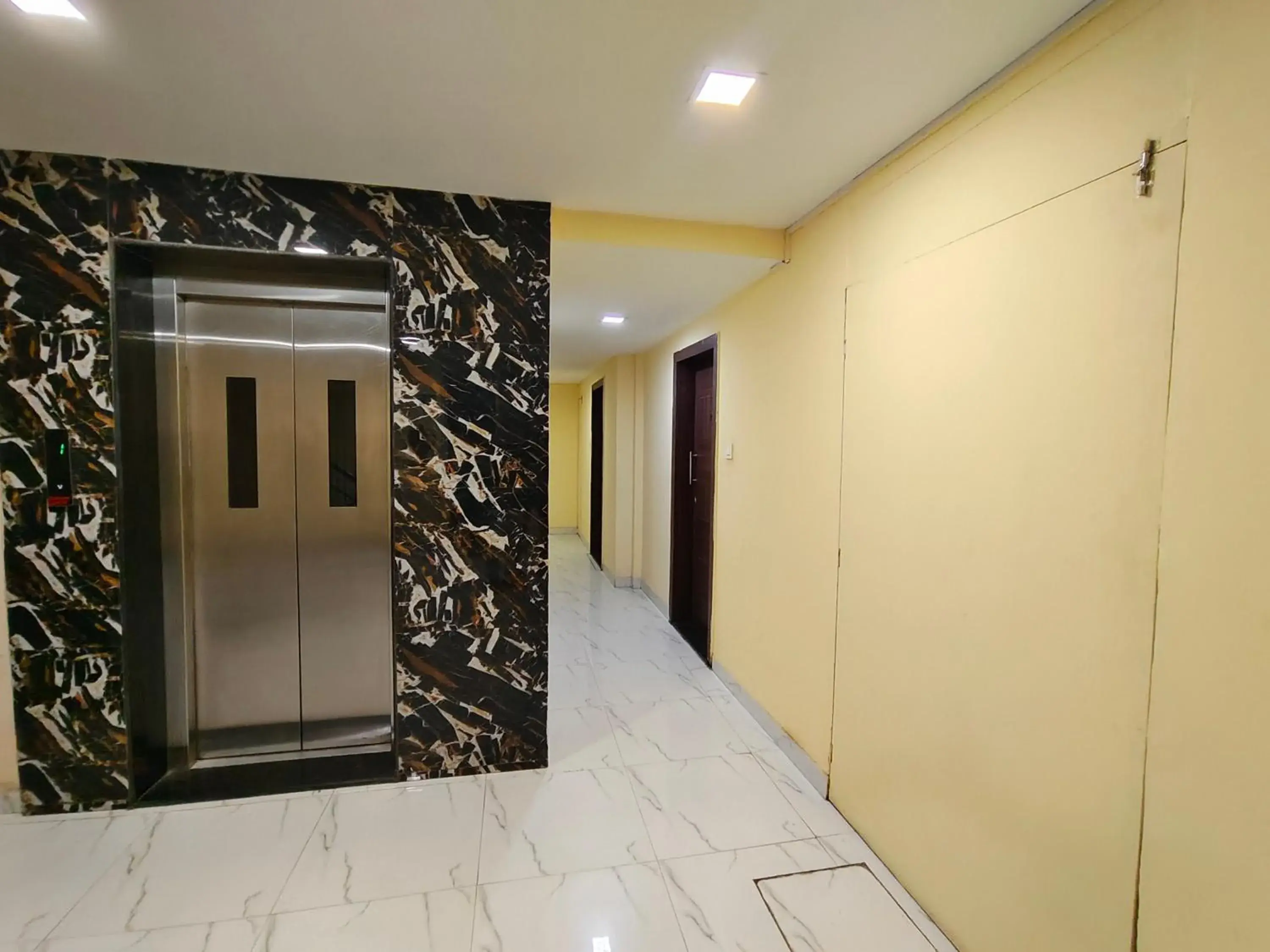 Emerald Tree Emerald Tree