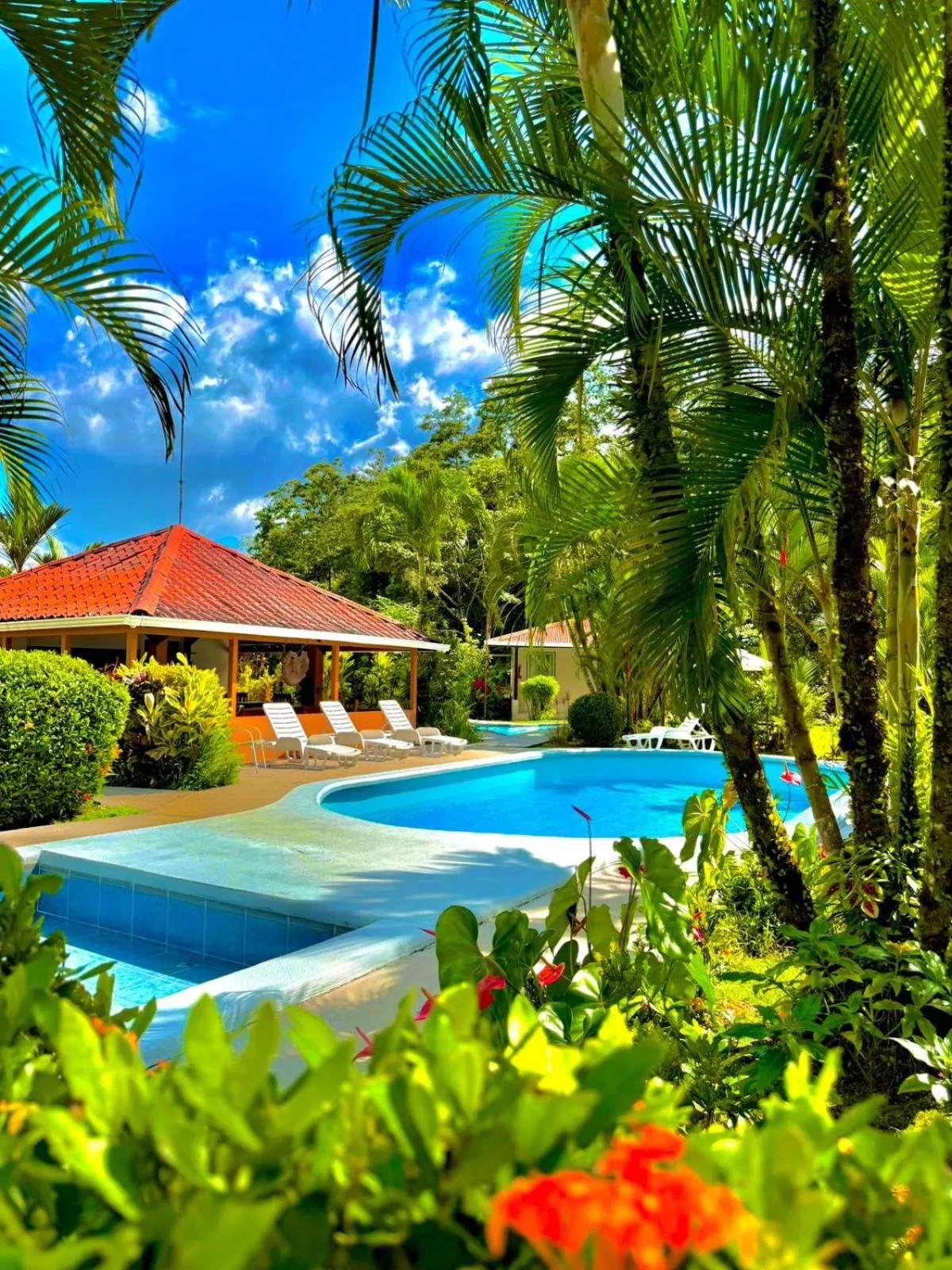 Swimming pool in Loma Real Hot Springs Bed & Breakfast