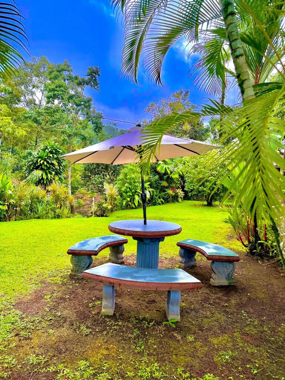 Garden in Loma Real Hot Springs Bed & Breakfast