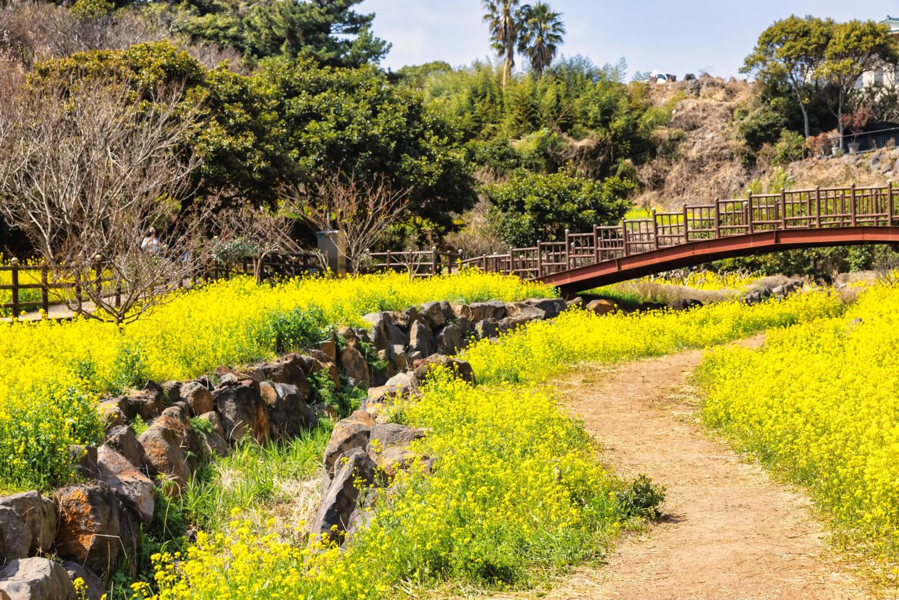 Nearby landmark in Kensington Resort Jeju Jungmun
