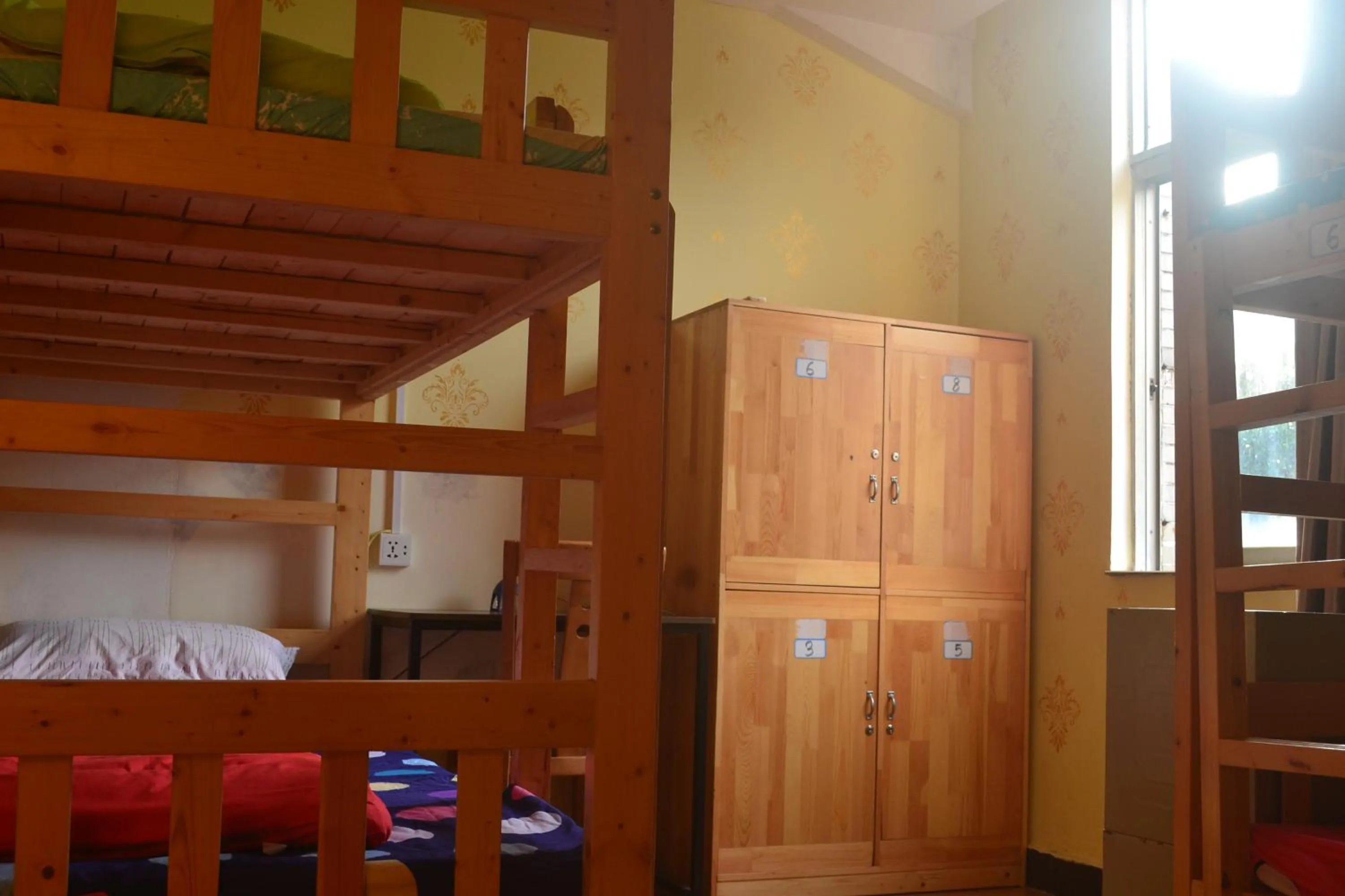 bunk bed, Bed in Notting Hill Hostel