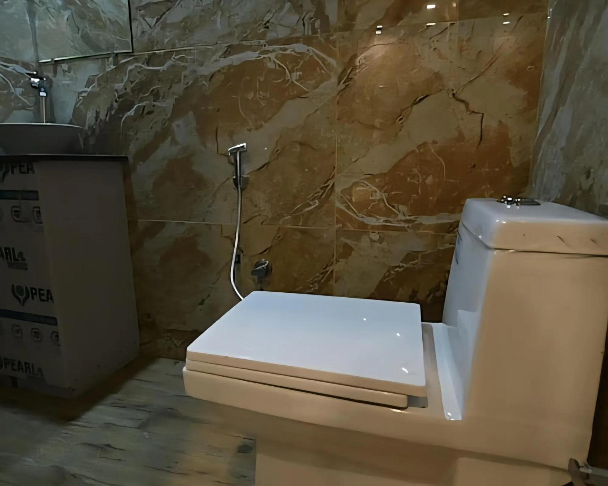 Bathroom in Hotel The Lake Castle, Ranchi, Jharkhand