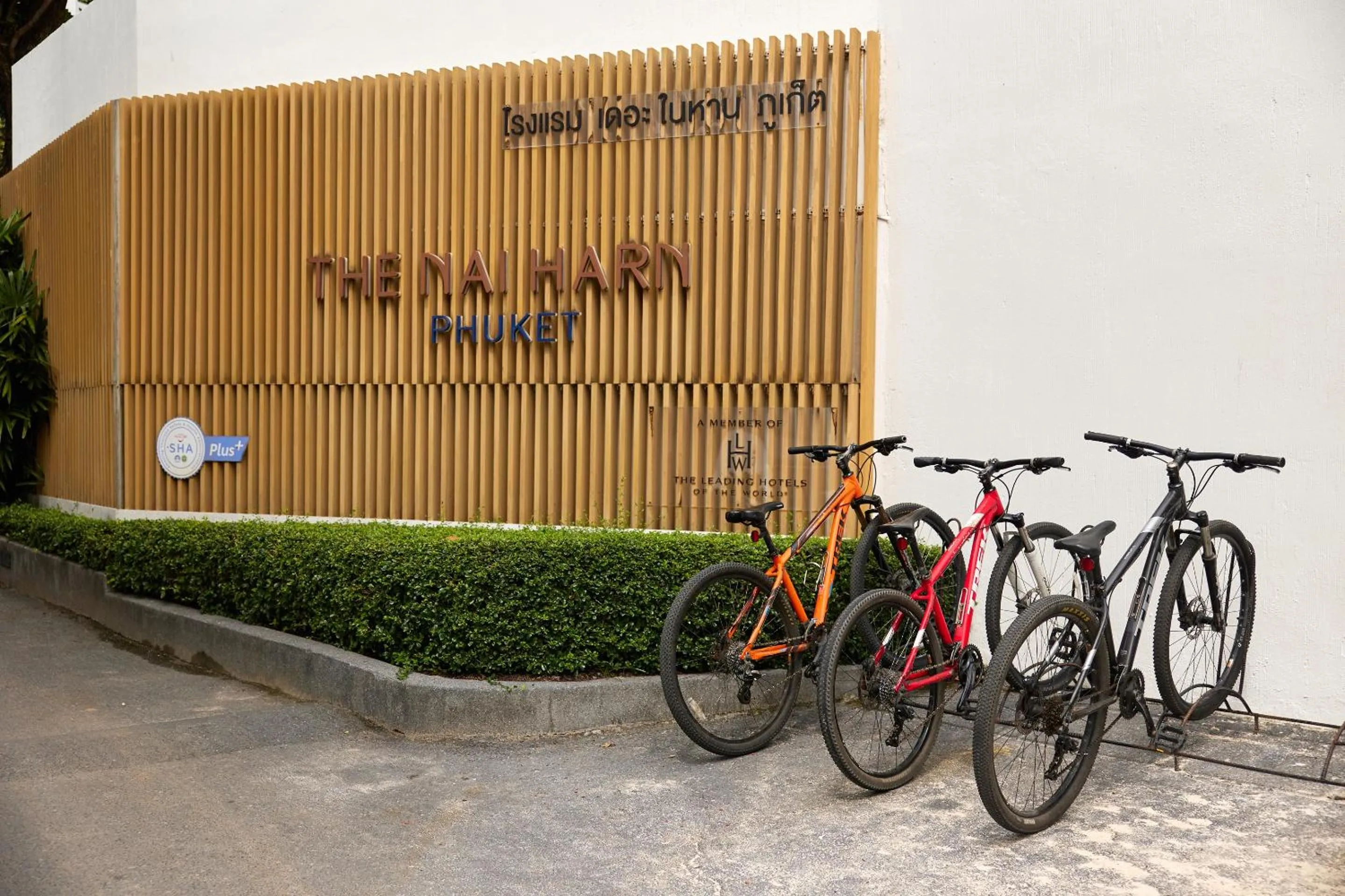 Activities in The Nai Harn