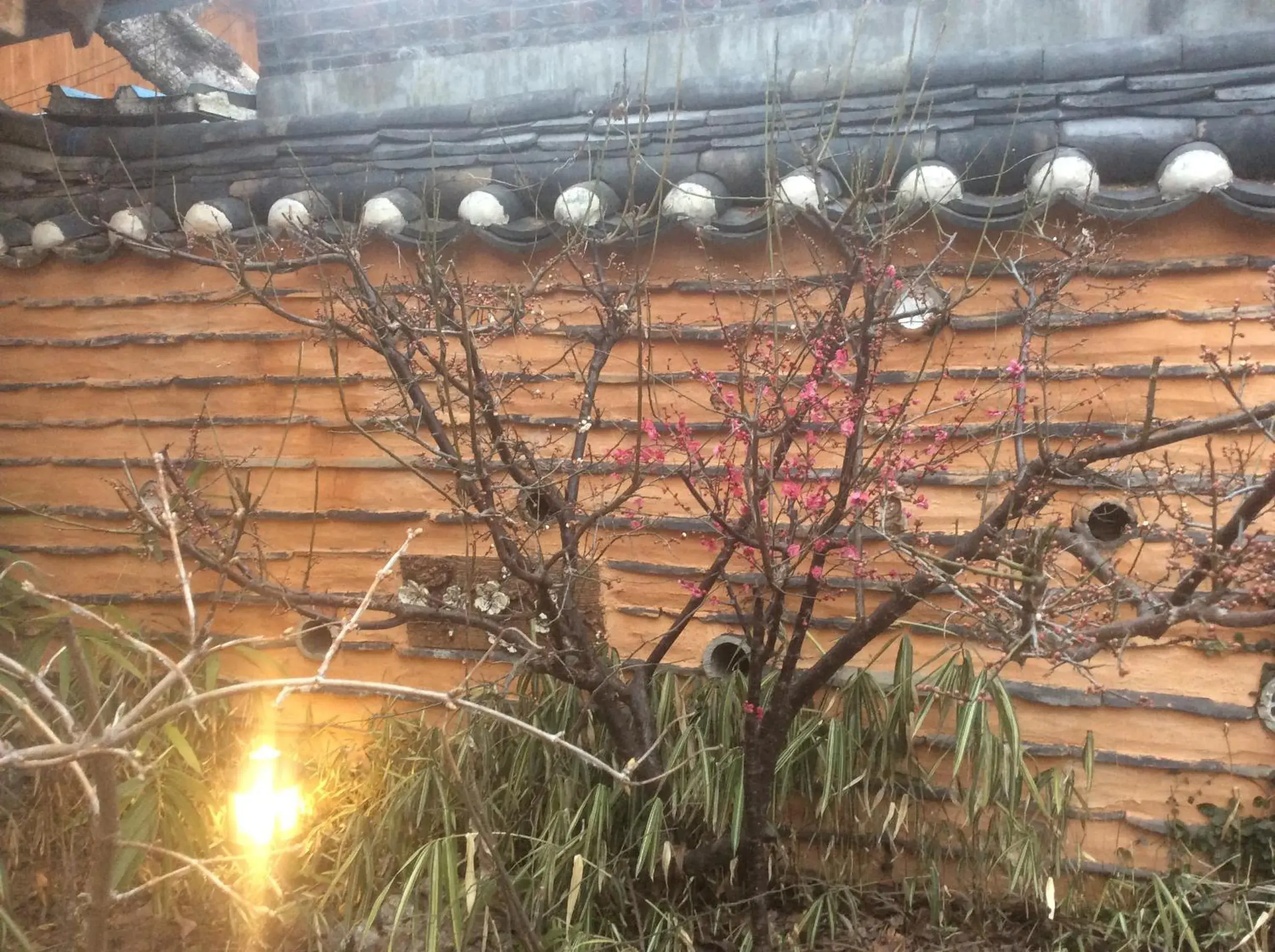 Double Room - single occupancy in Yangsajae Double Room - single occupancy in Yangsajae