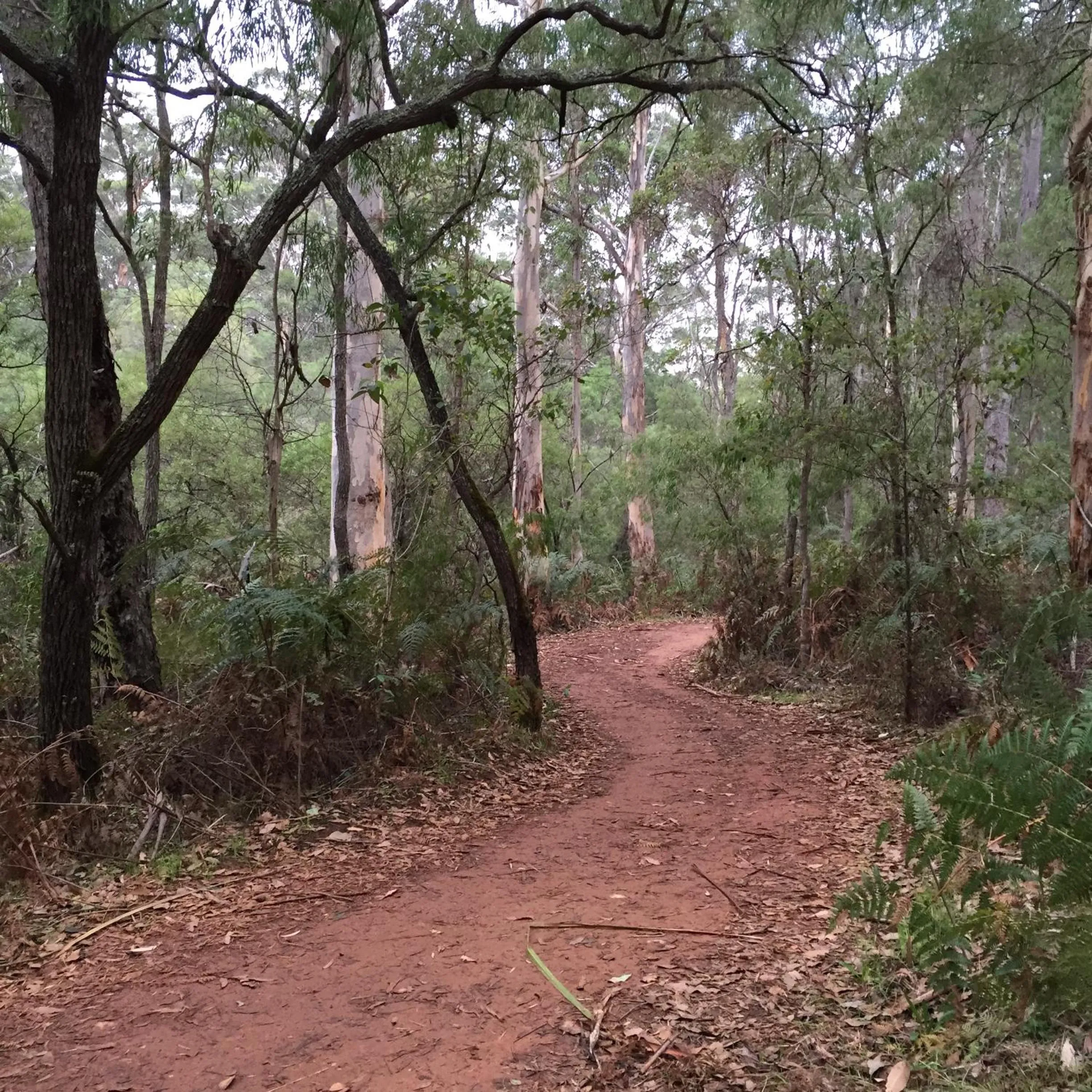 Activities in Josephines Luxury Accommodation