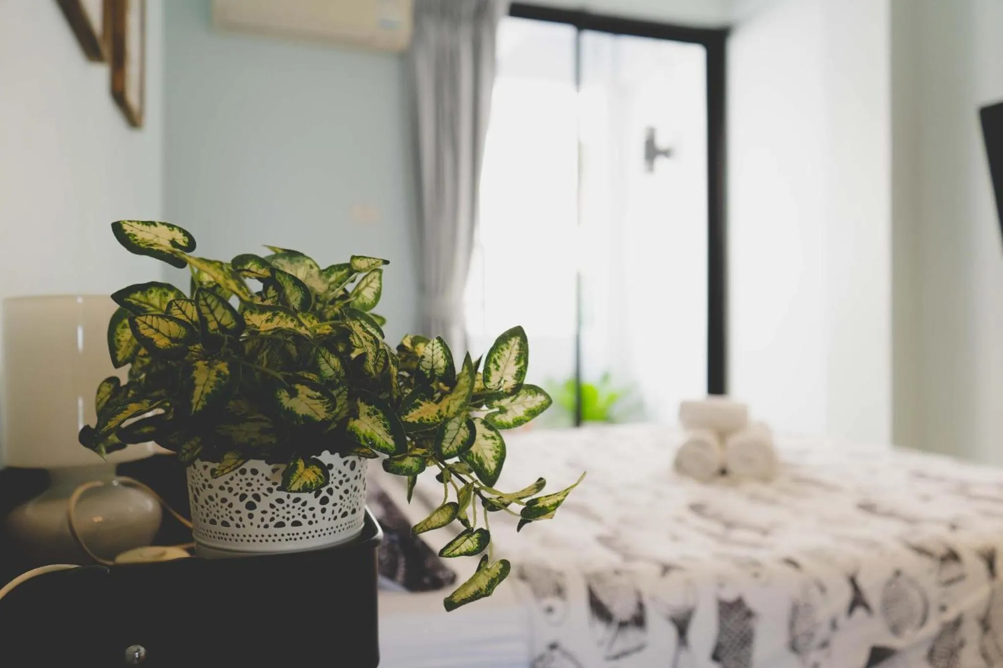 Bed in Sea Sand Trees