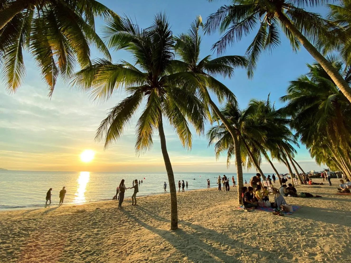 Beach in Sea Sand Trees