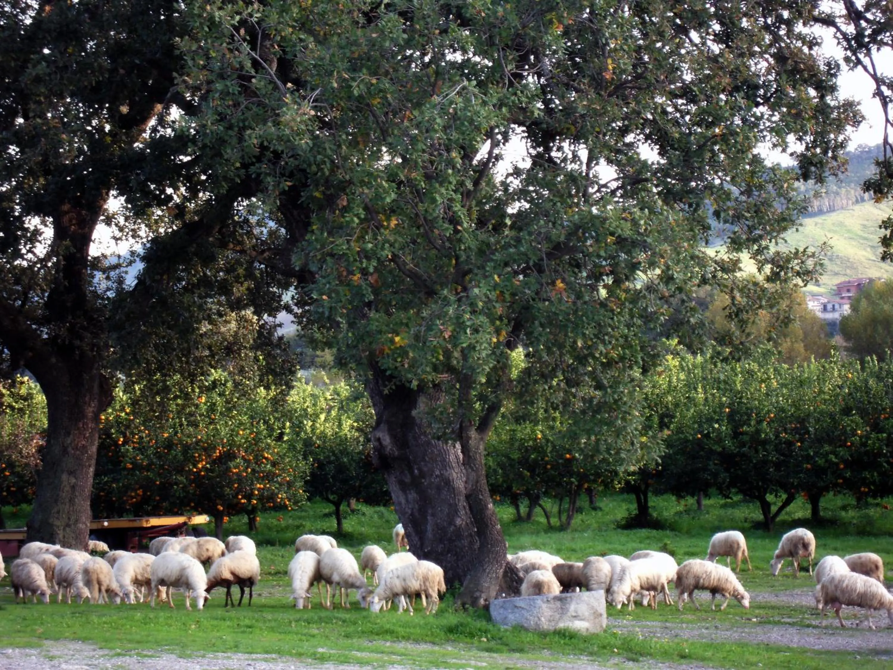 Facade/entrance in Barone GR Macrì Agriturismo Modi