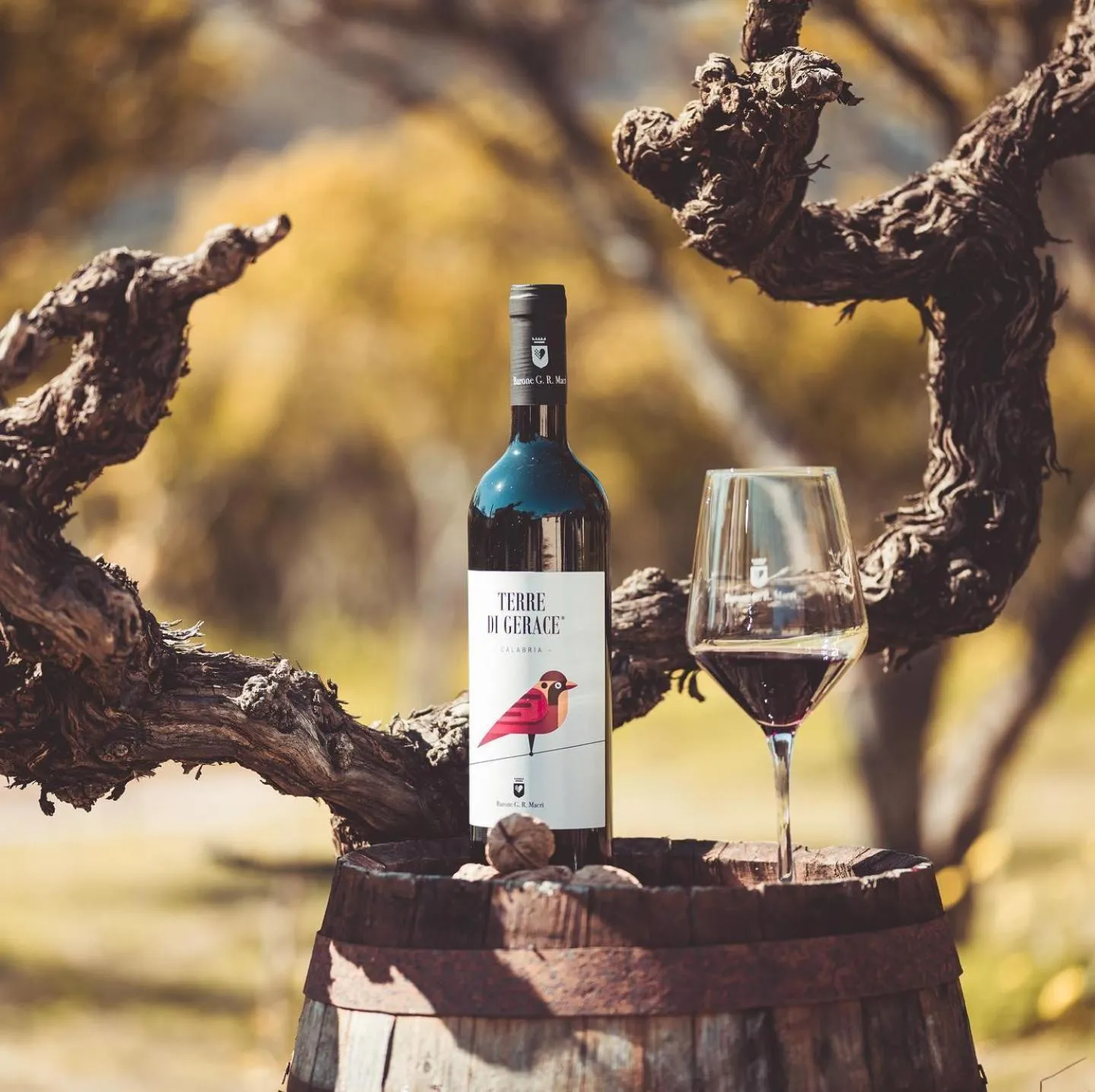 Food and drinks in Barone GR Macrì Agriturismo Modi