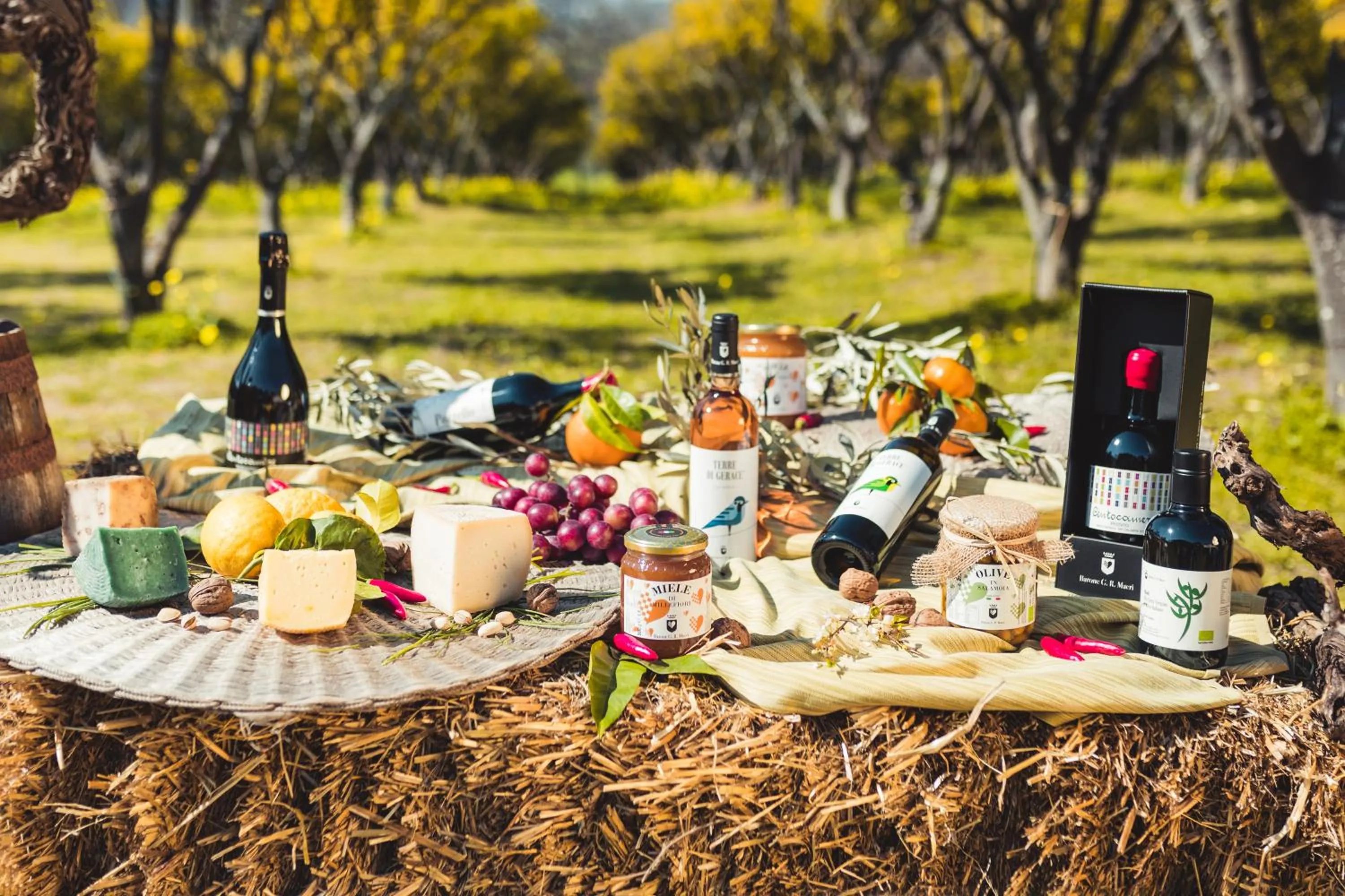 Food and drinks in Barone GR Macrì Agriturismo Modi