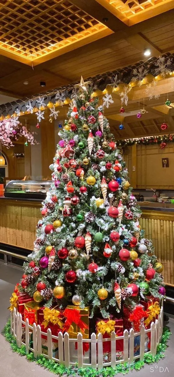 Restaurant/places to eat in Hai Phong Tower - Apartment & Hotel