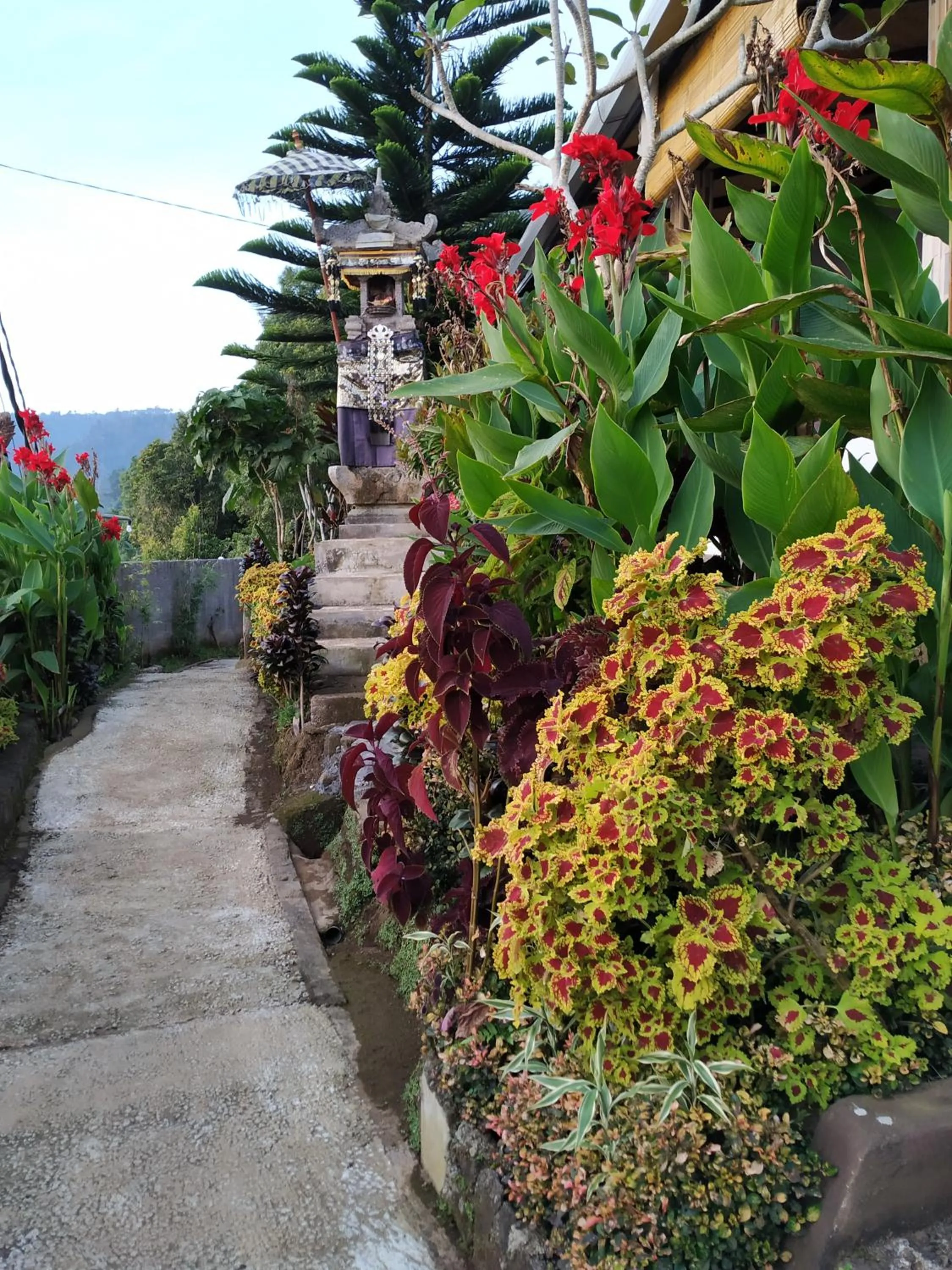Garden in Puri Sunset Homestay