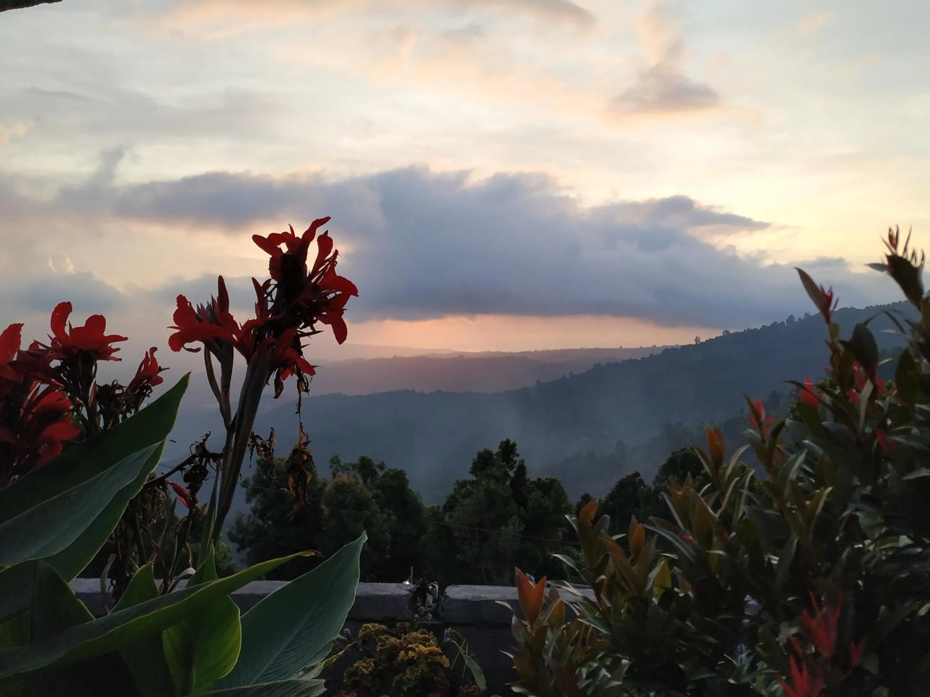 Property building in Puri Sunset Homestay