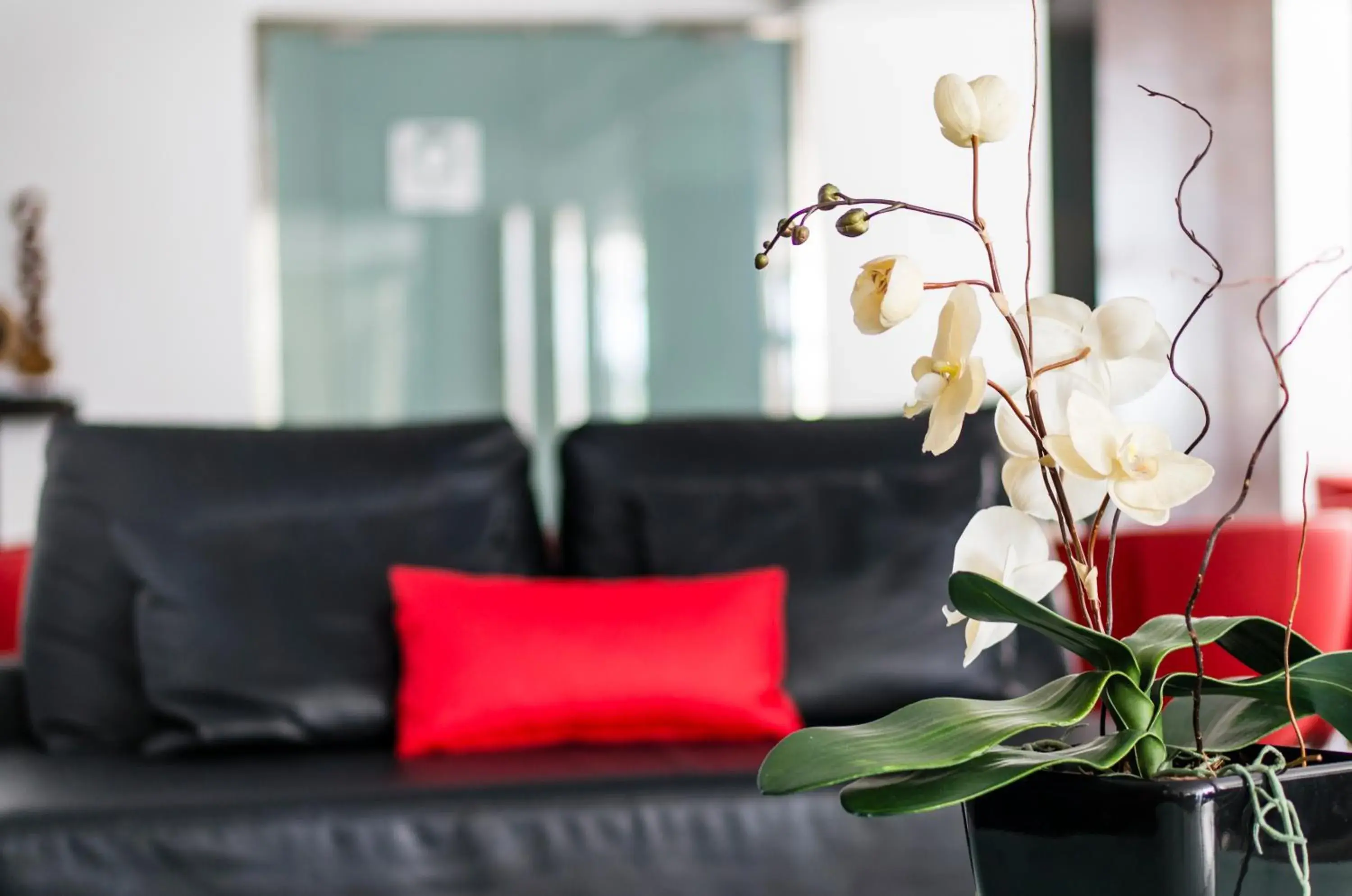 Lobby or reception in Nautic Hotel & Spa Lobby or reception in Nautic Hotel & Spa