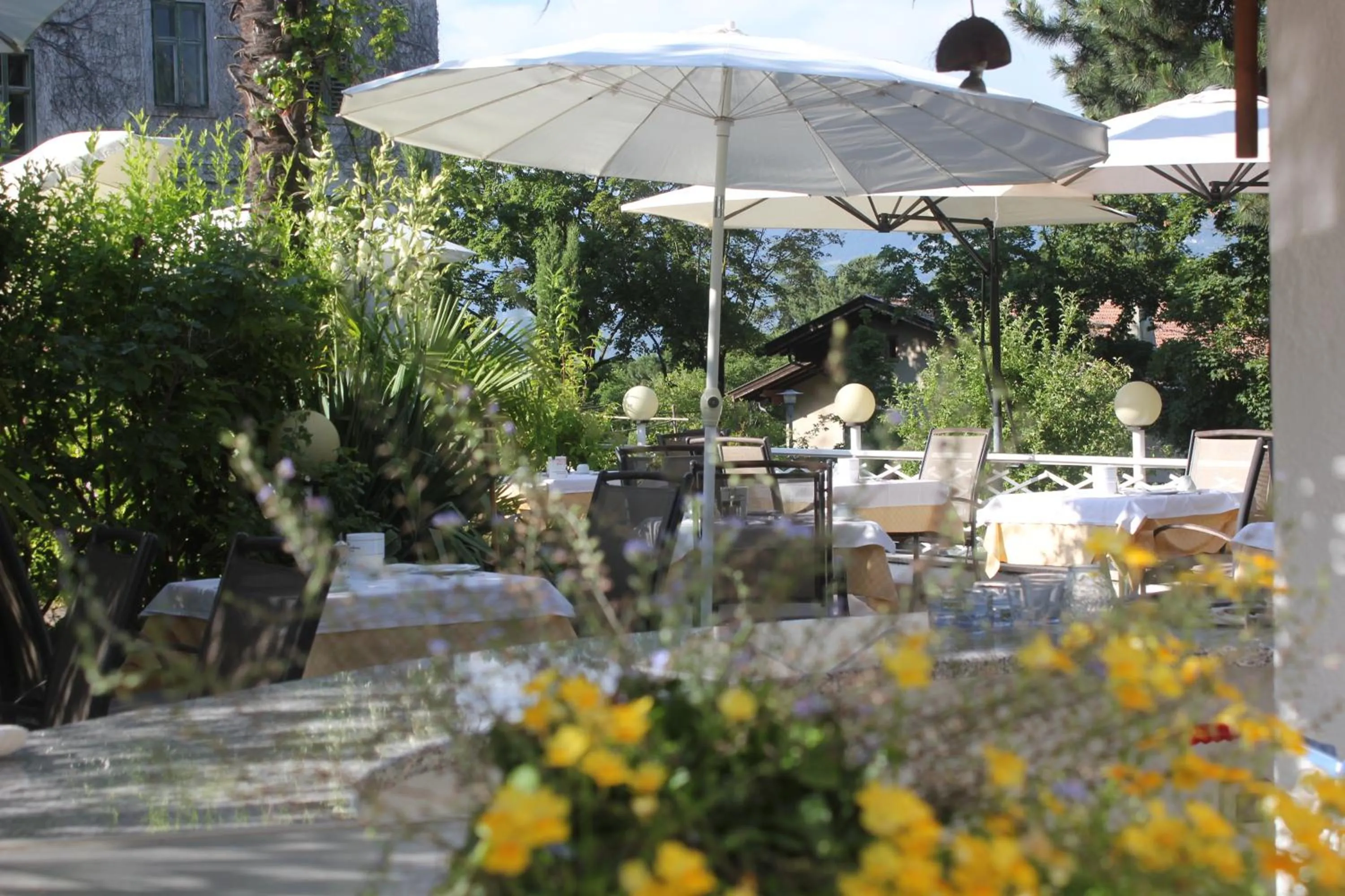 Patio in Hotel Annabell