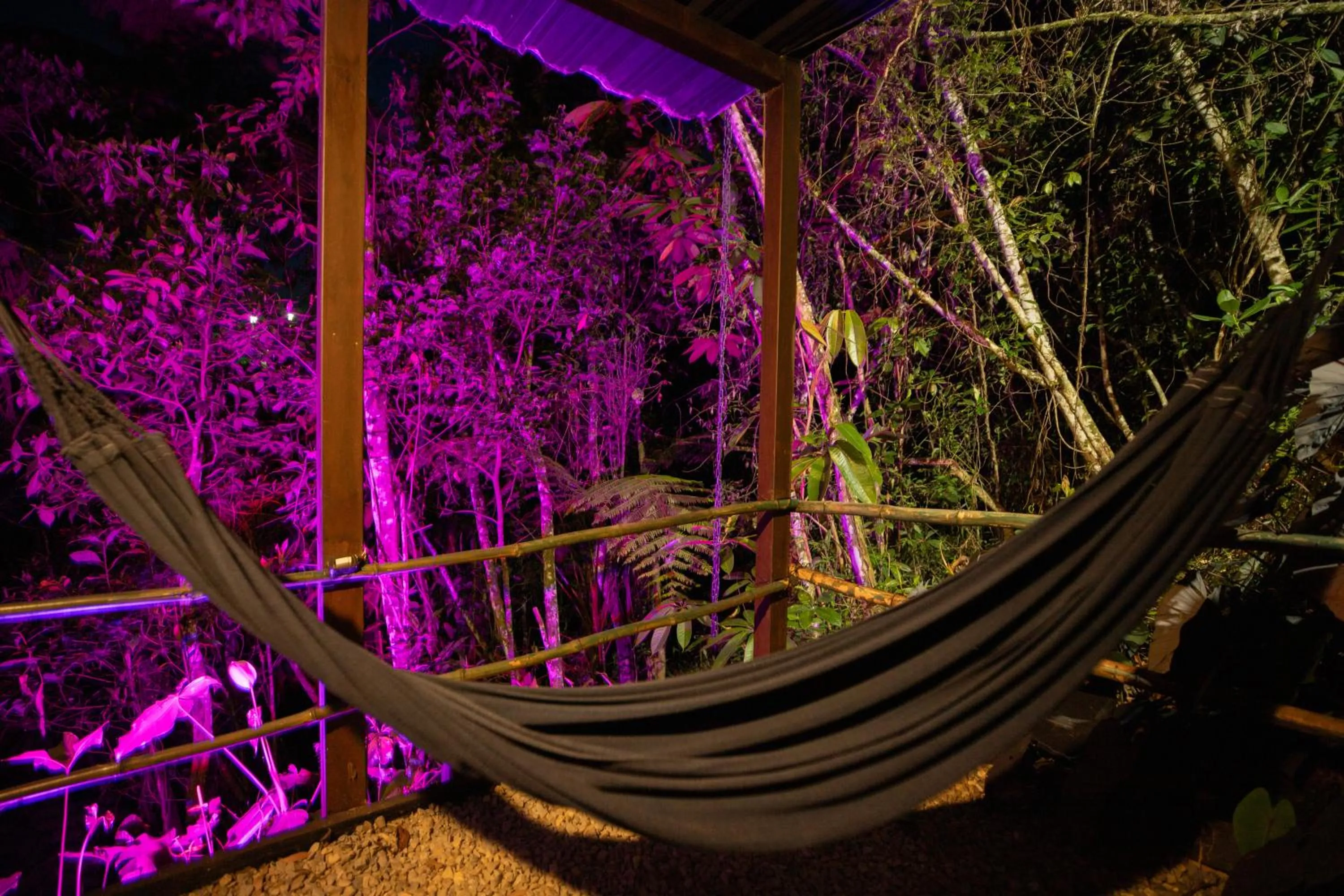 Night in Roots Eco House