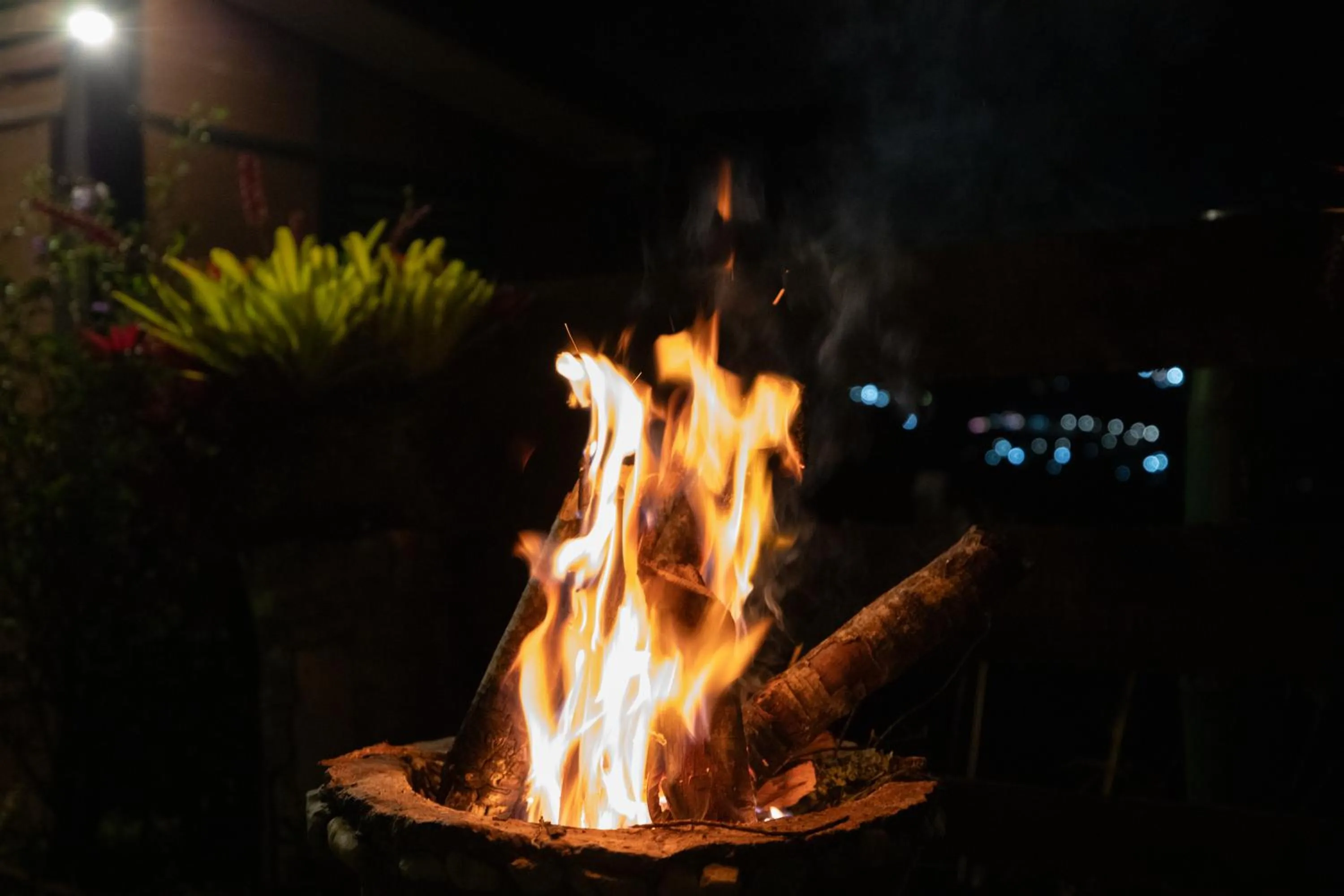 Night in Roots Eco House