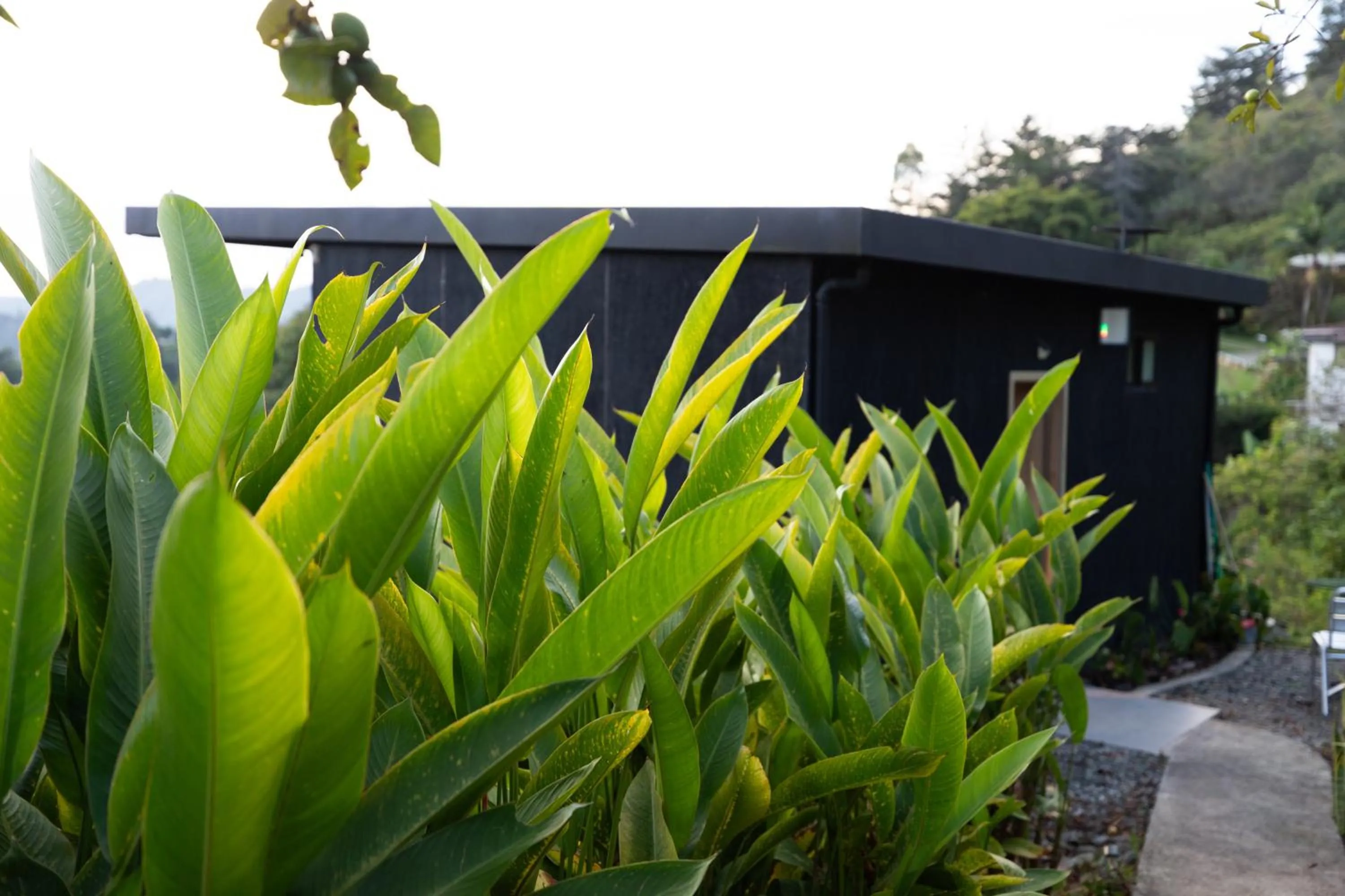 Property building in Roots Eco House
