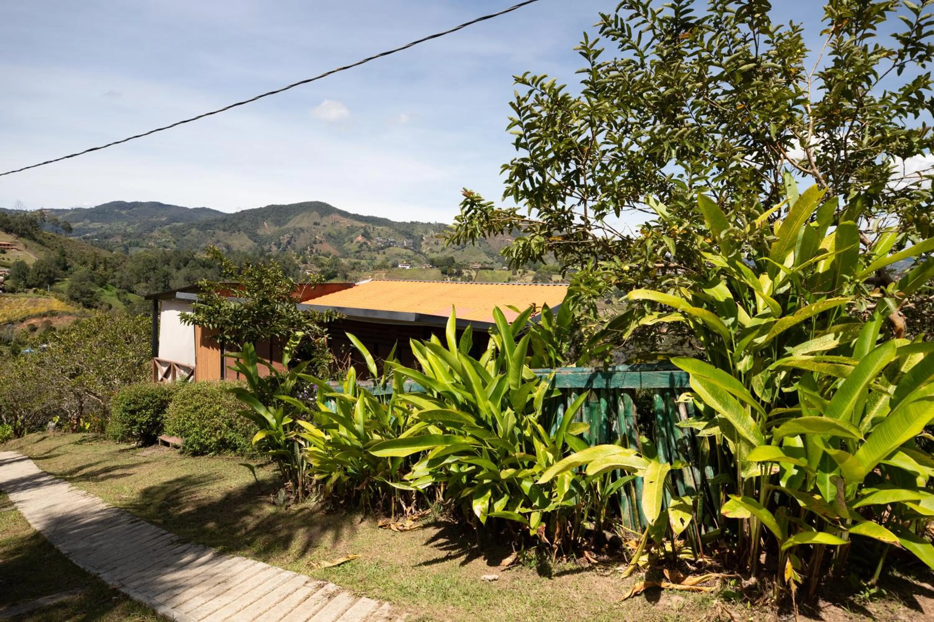 Spring in Roots Eco House