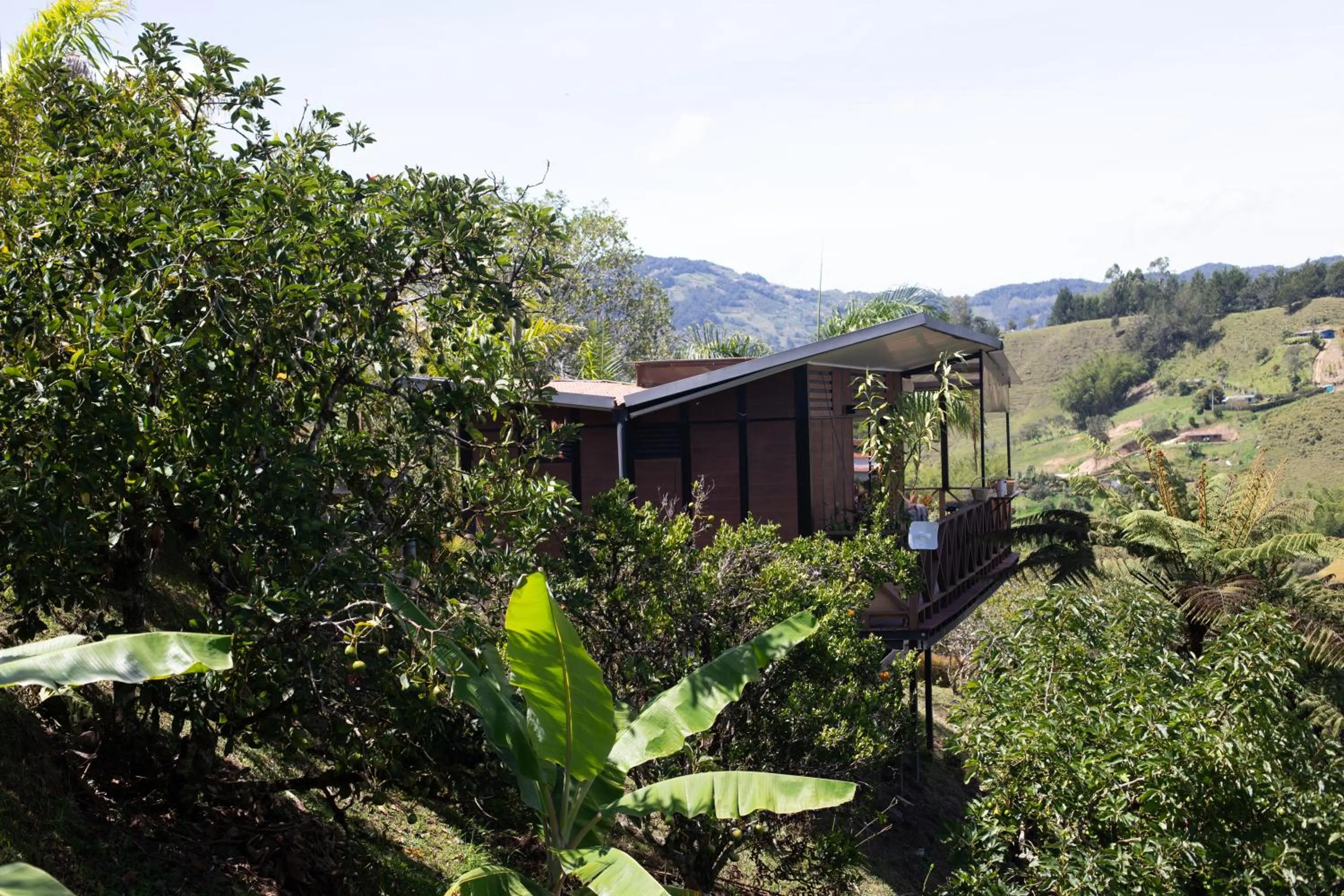 Property building in Roots Eco House