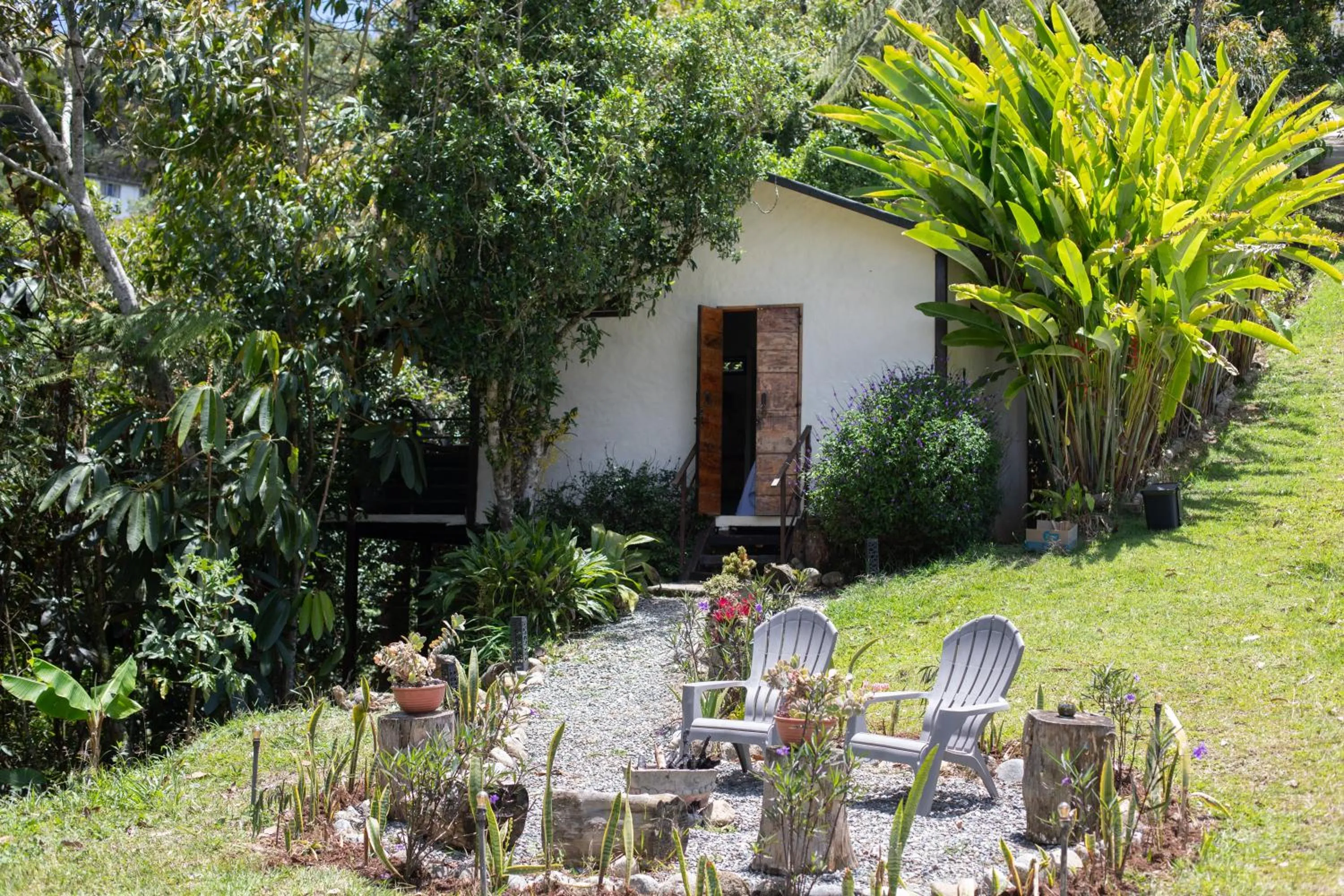 Property building in Roots Eco House