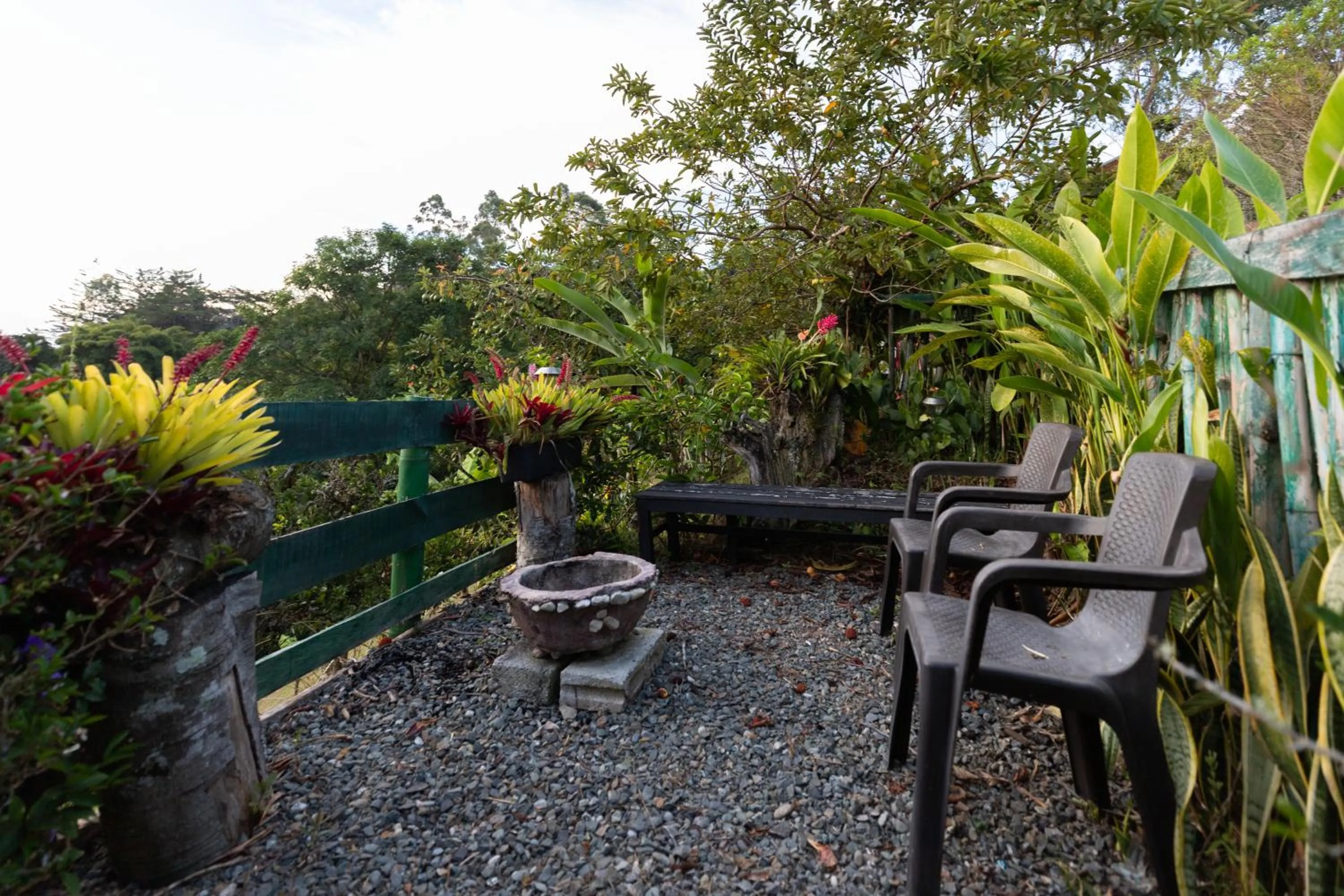 Spring in Roots Eco House