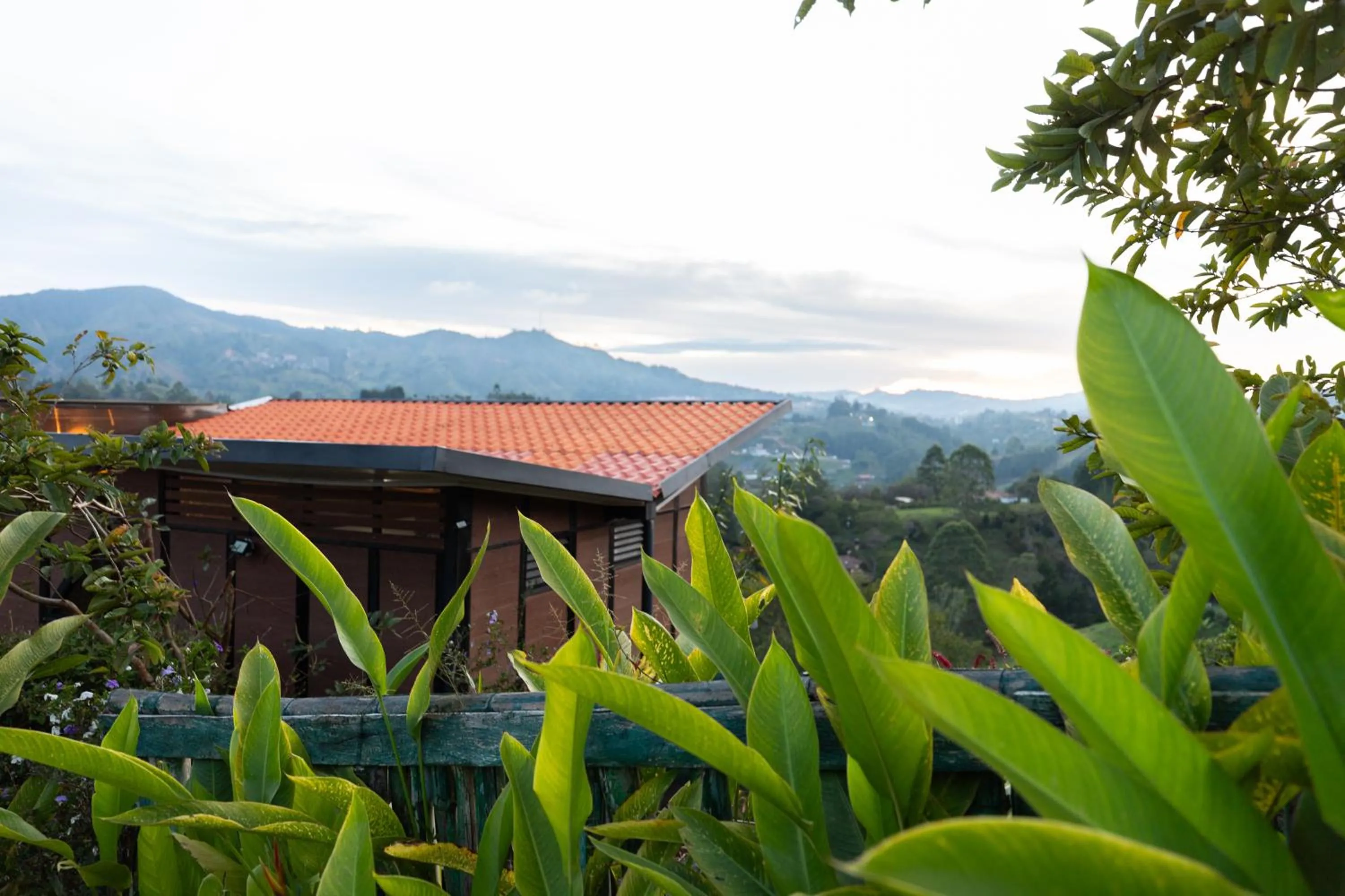 Spring in Roots Eco House