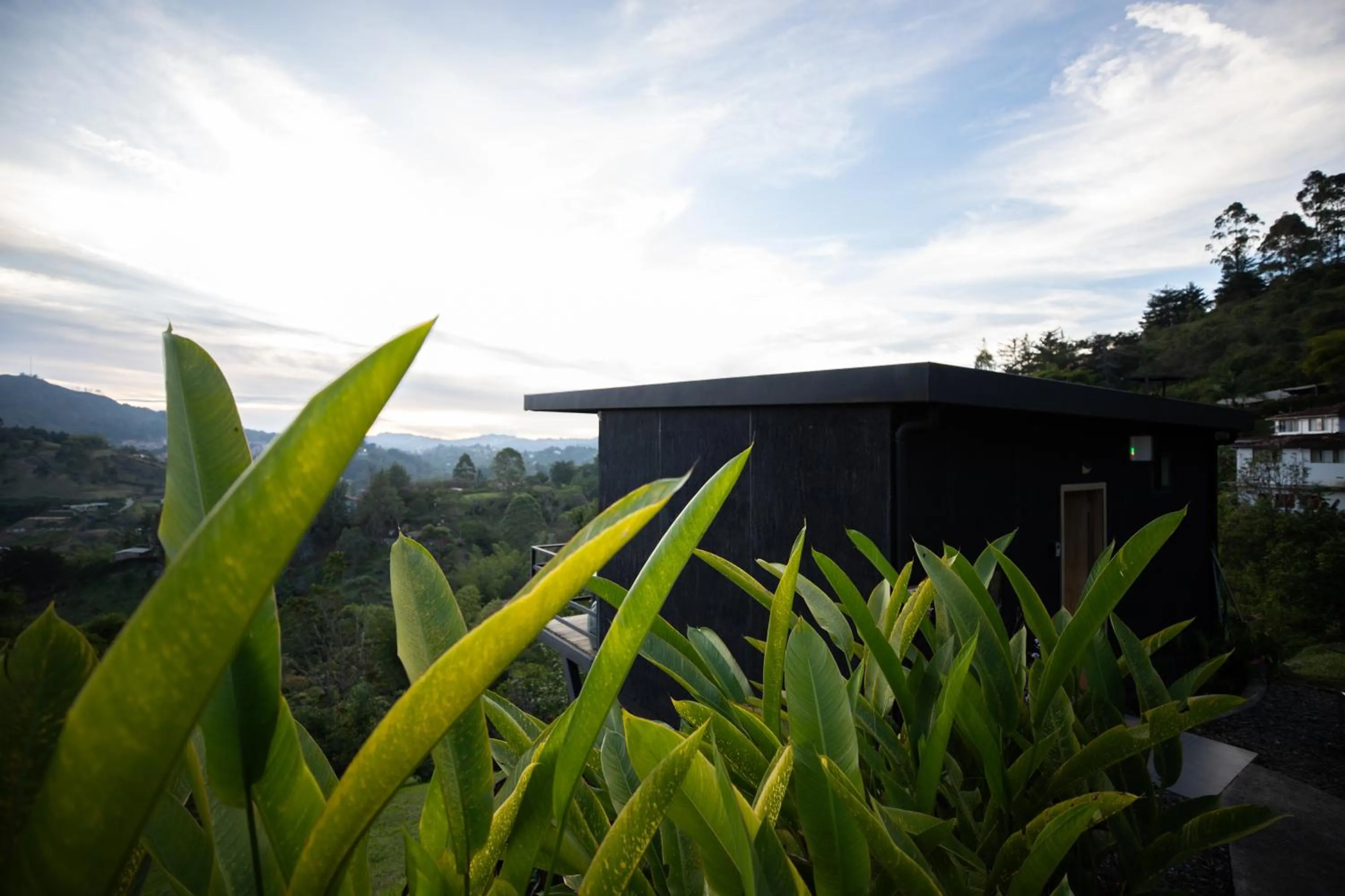 Spring in Roots Eco House